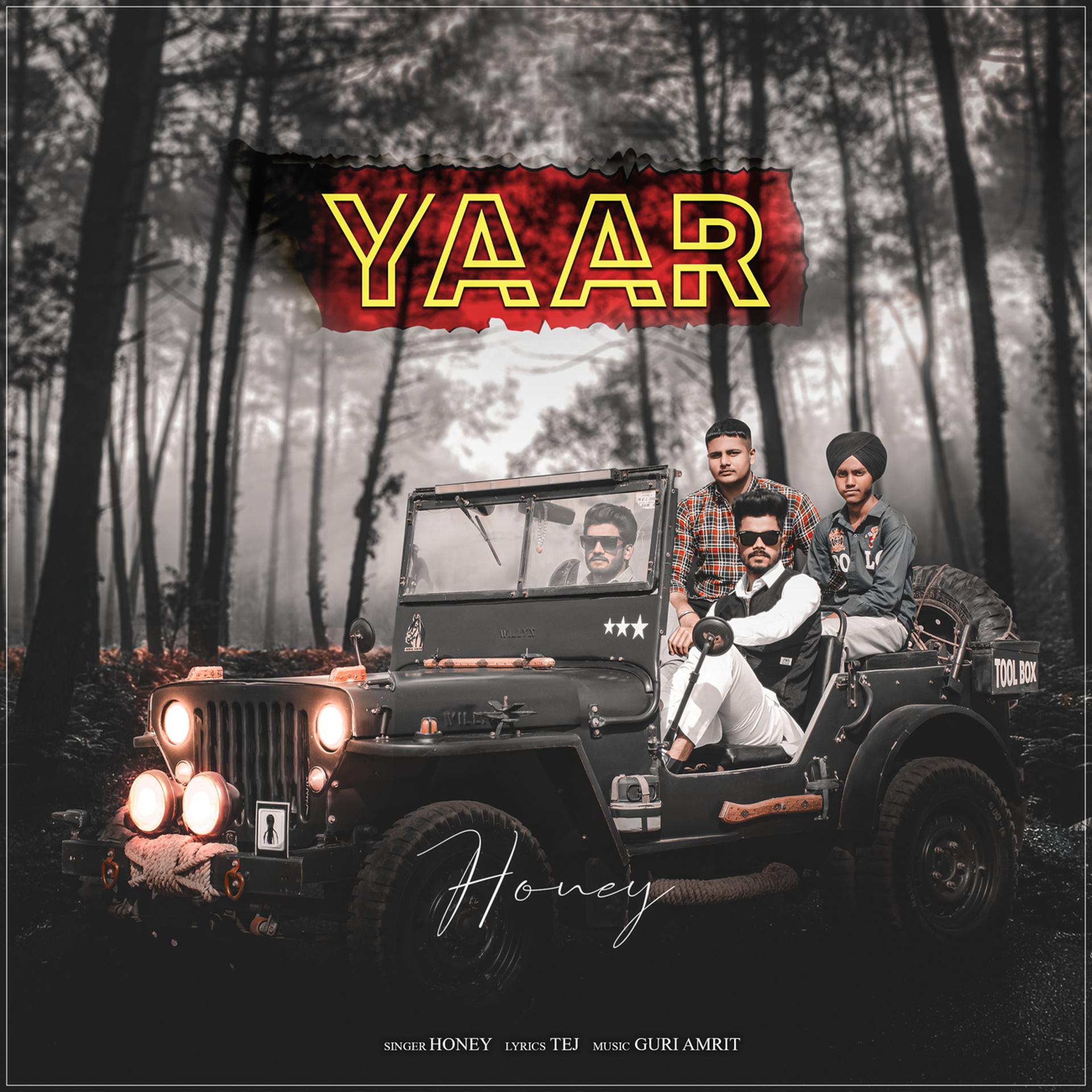 Постер альбома Yaar