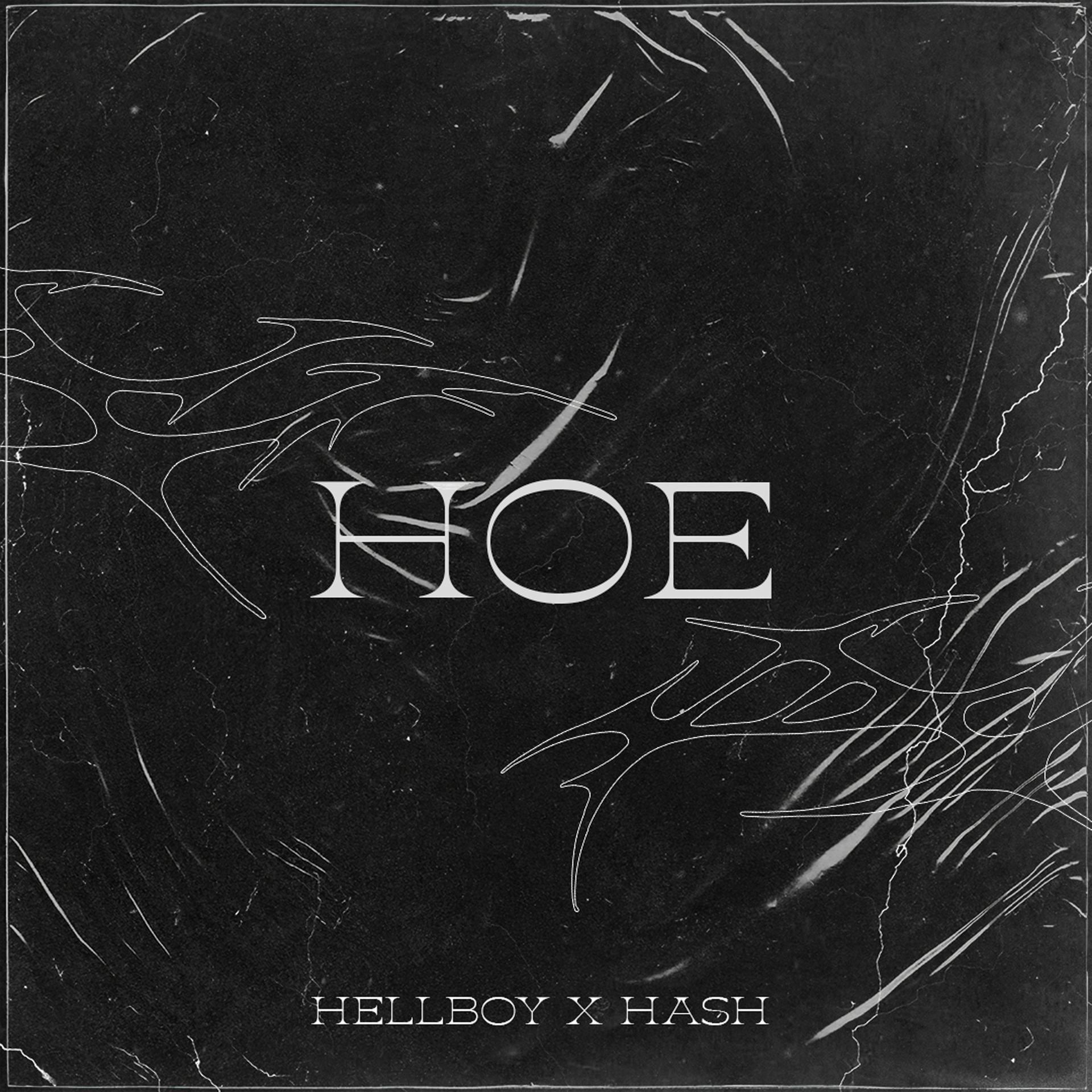 Постер альбома Hoe (feat. Hash)