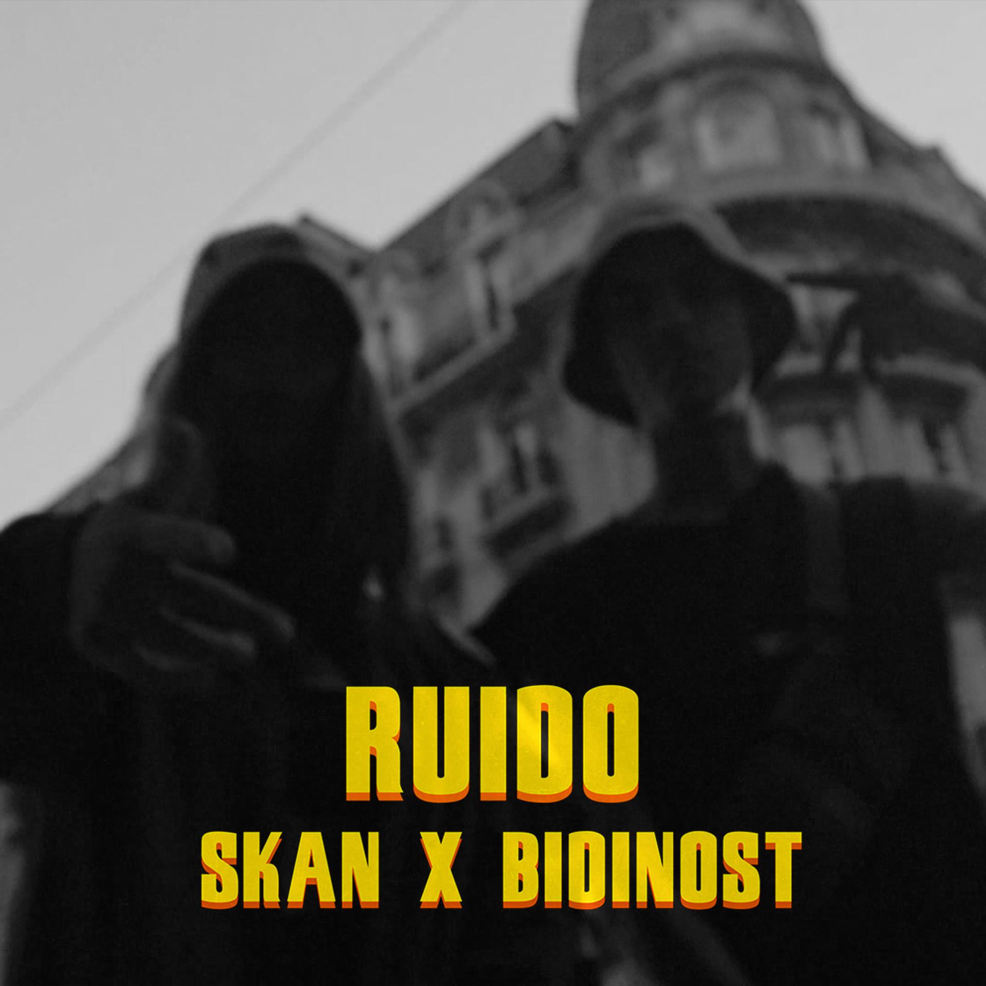 Постер альбома Ruido