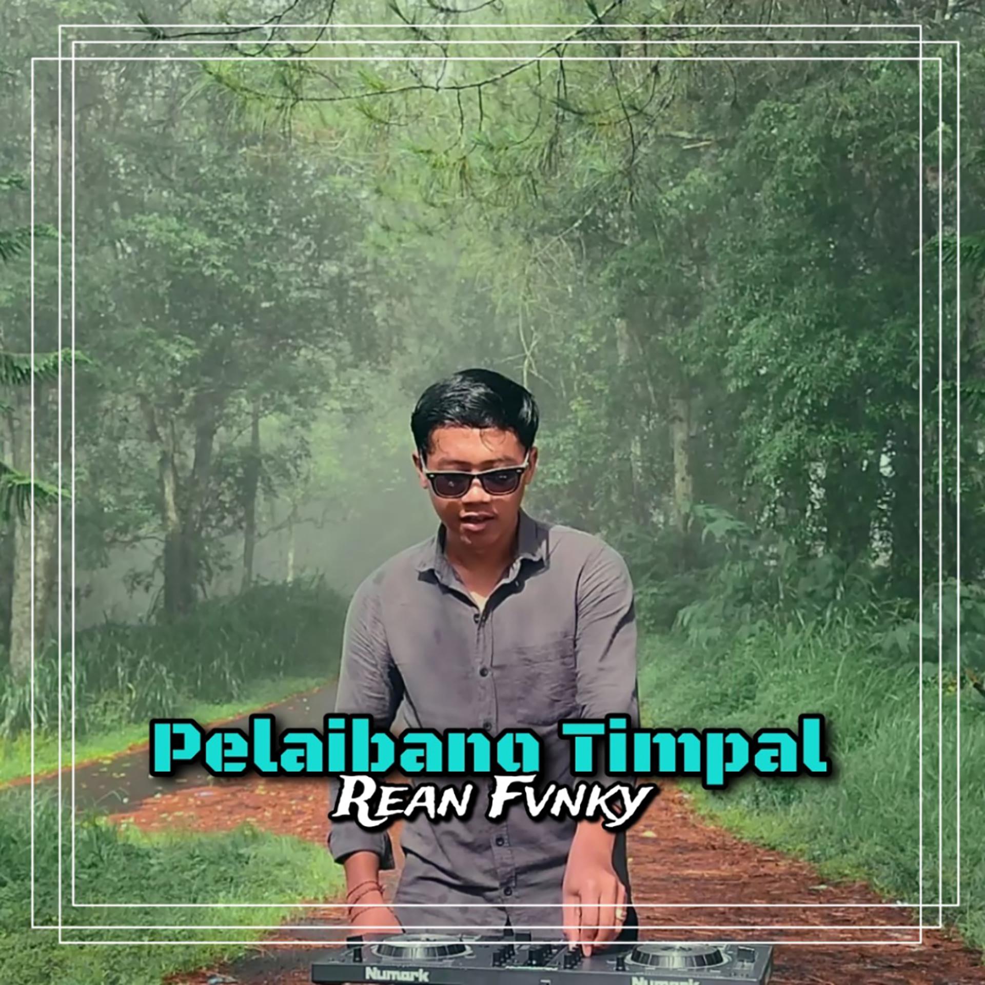 Постер альбома Pelaibang Timpal