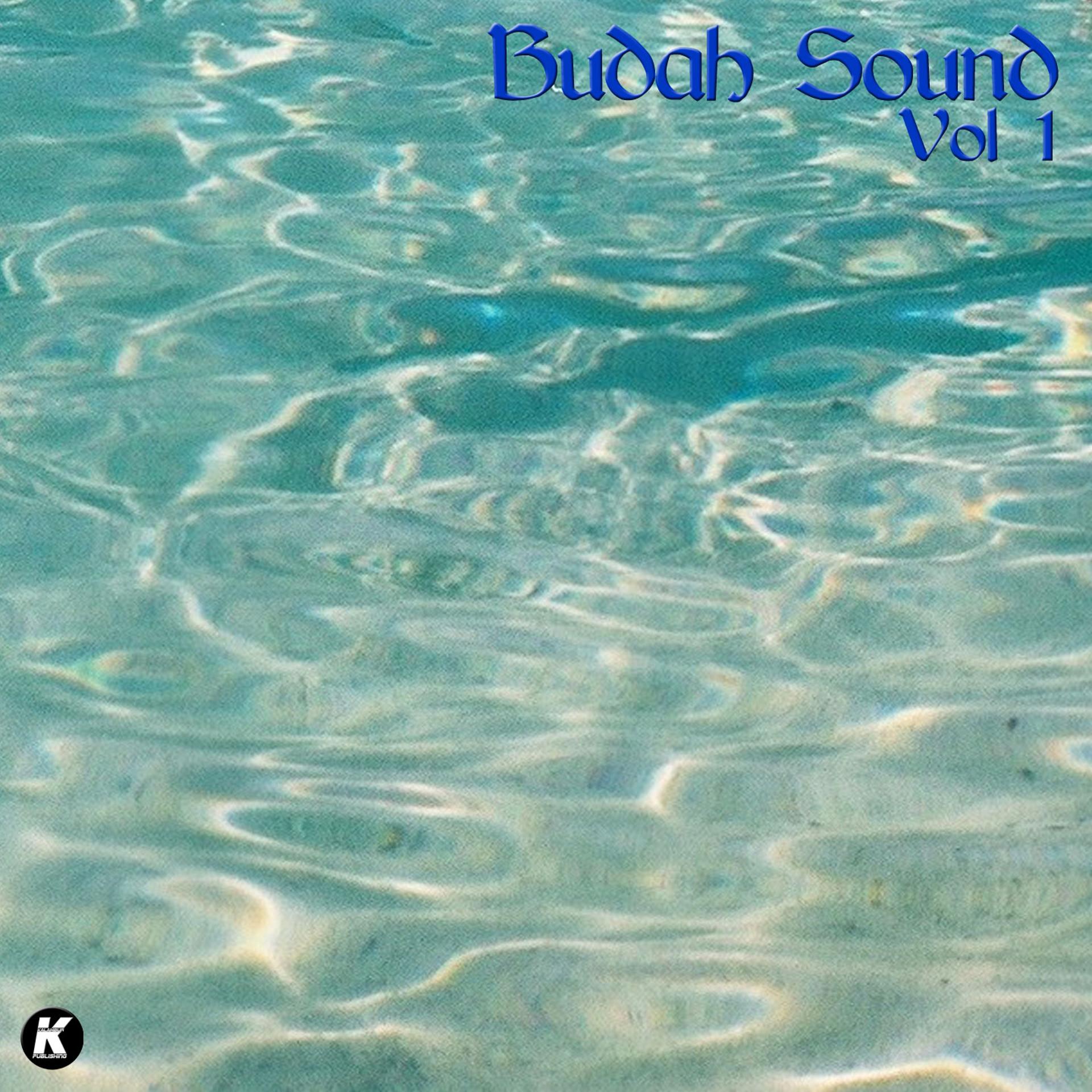 Постер альбома Budah Sound, Vol. 1