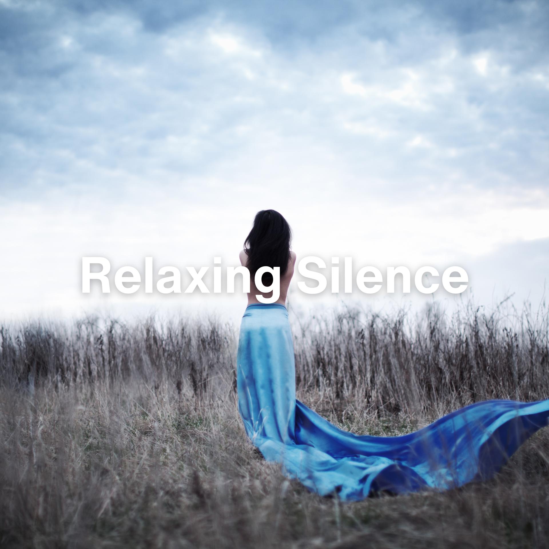 Постер альбома Relaxing Silence