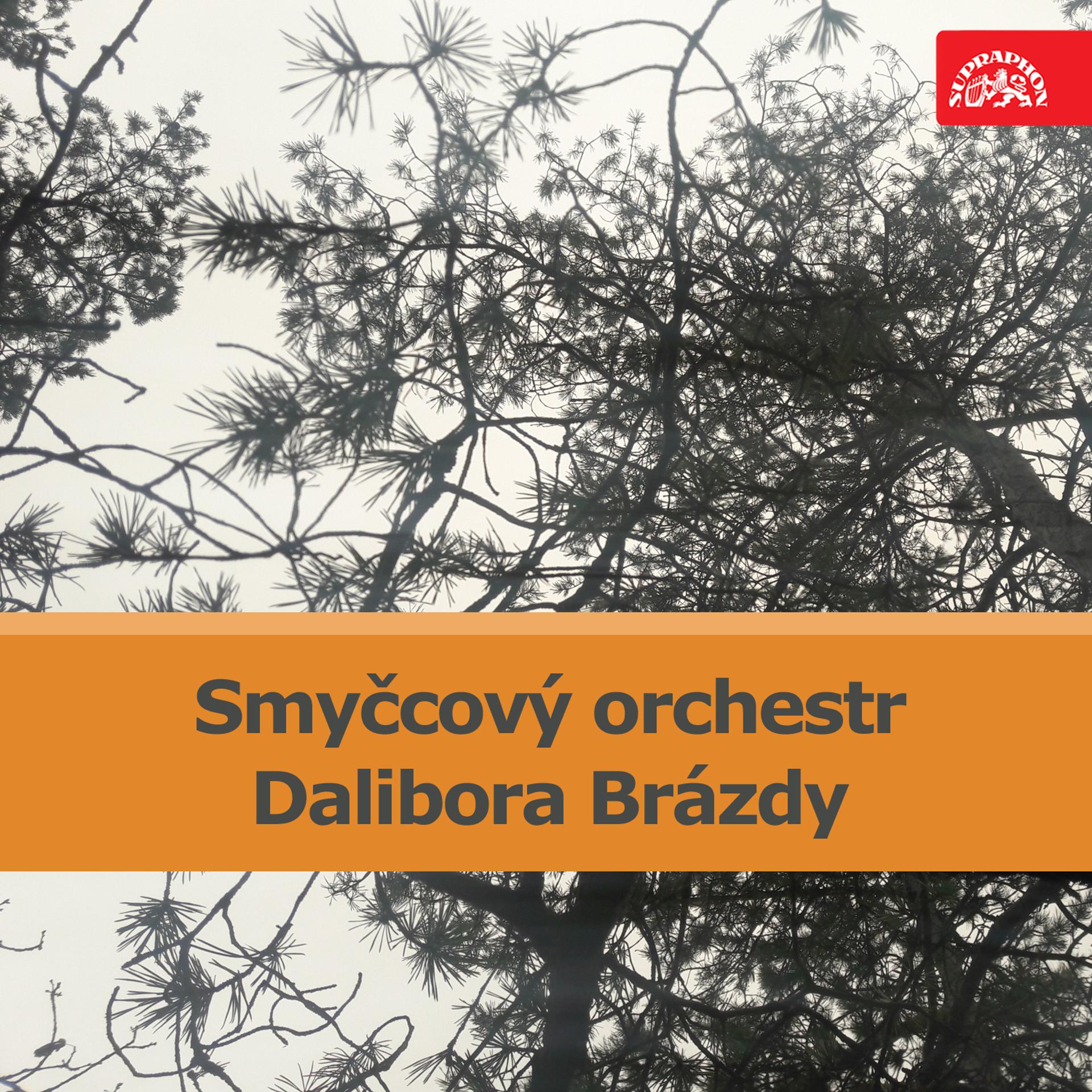 Постер альбома Smyčcový orchestr Dalibora Brázda