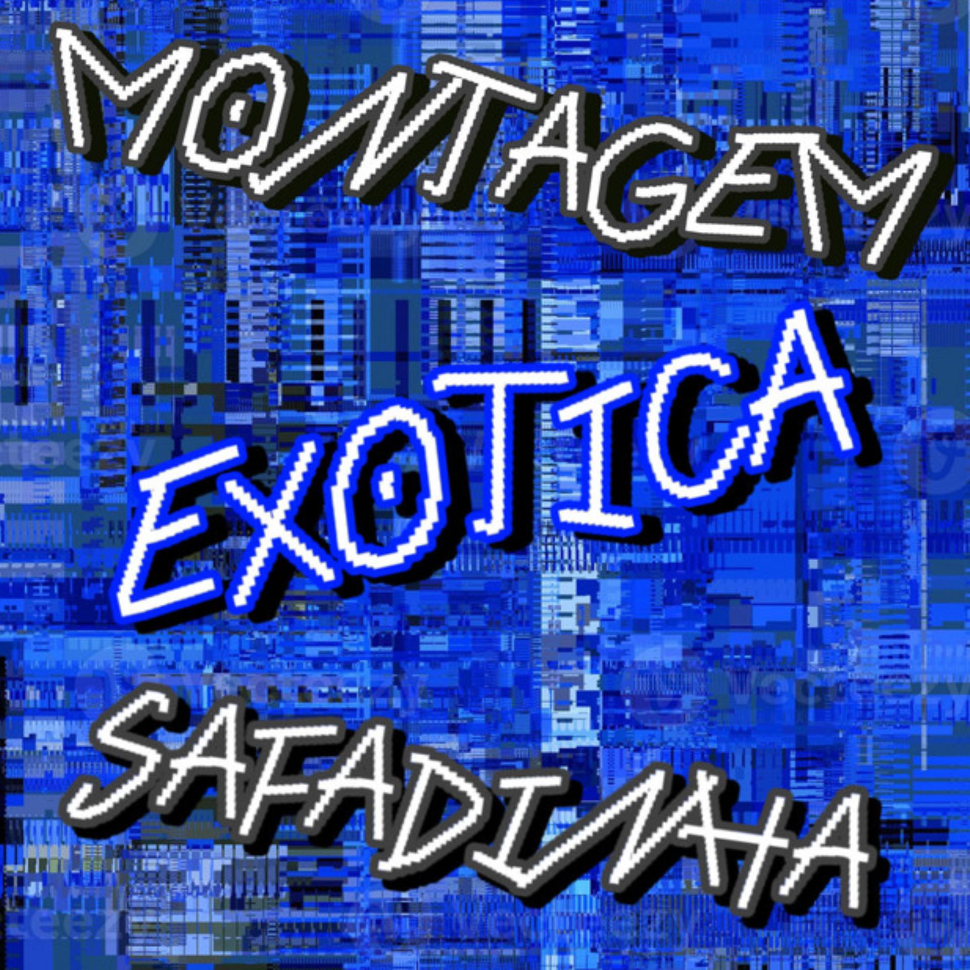 Постер альбома Montagem Exotica Safadinha