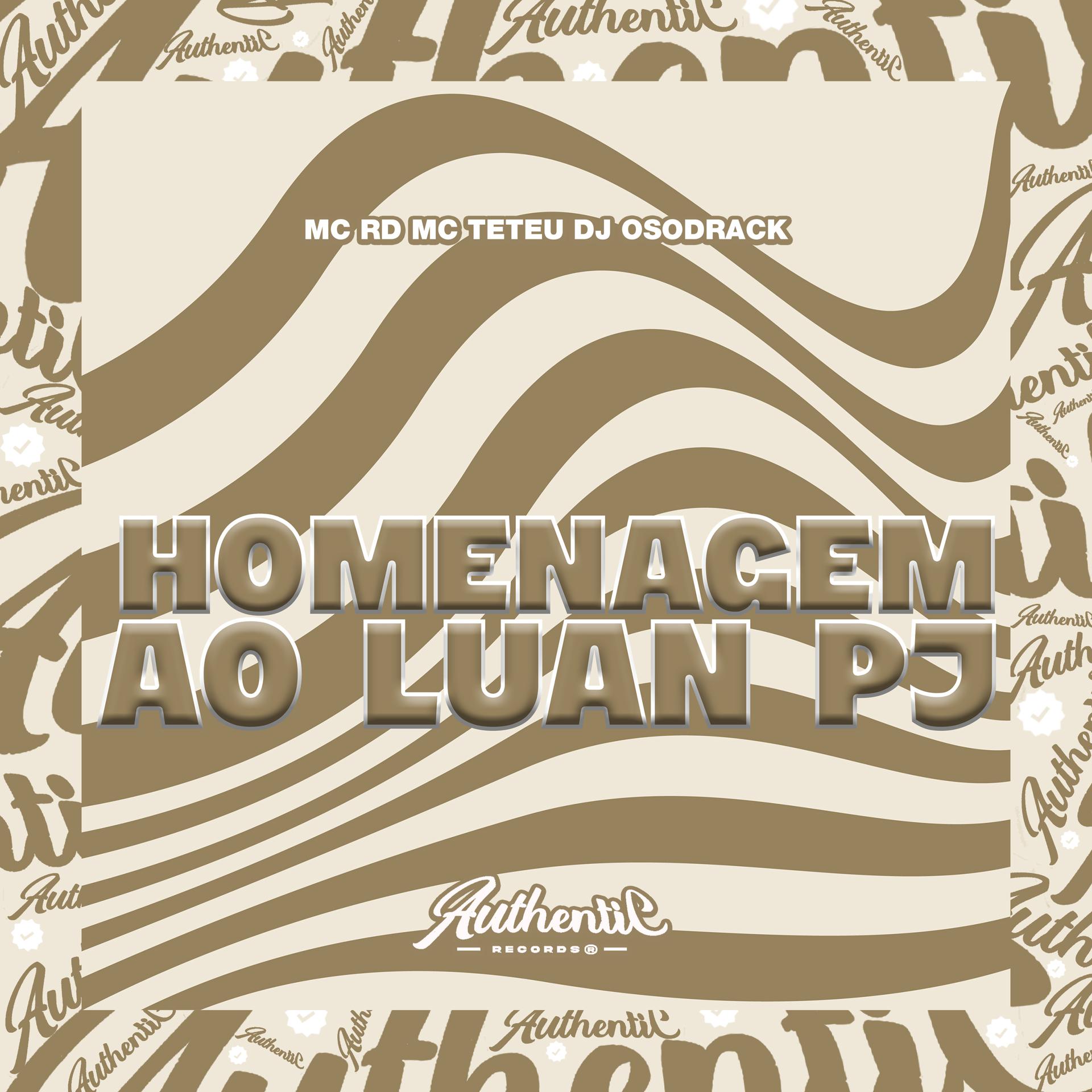 Постер альбома Homenagem ao Luan Pj