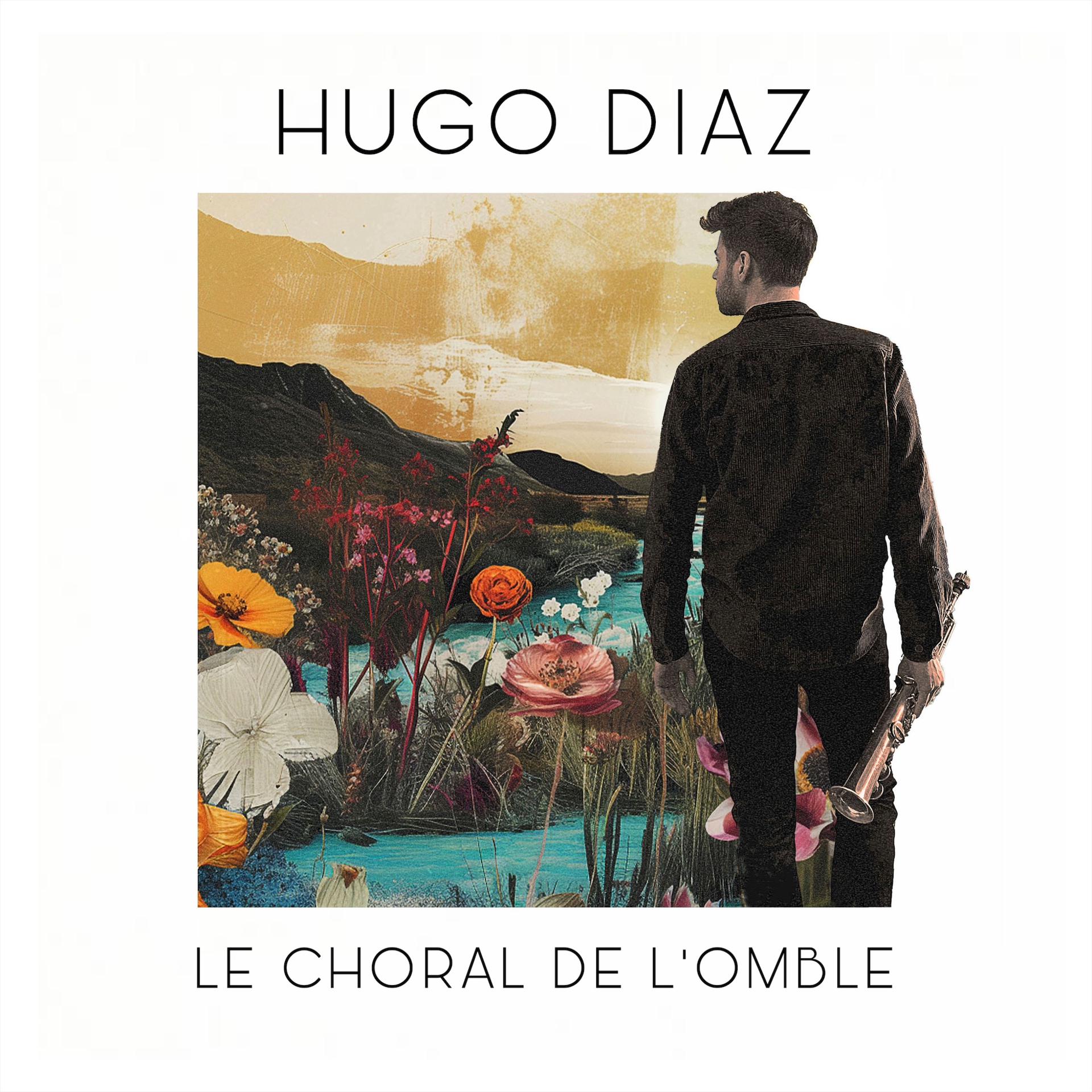 Постер альбома Le choral de l'omble