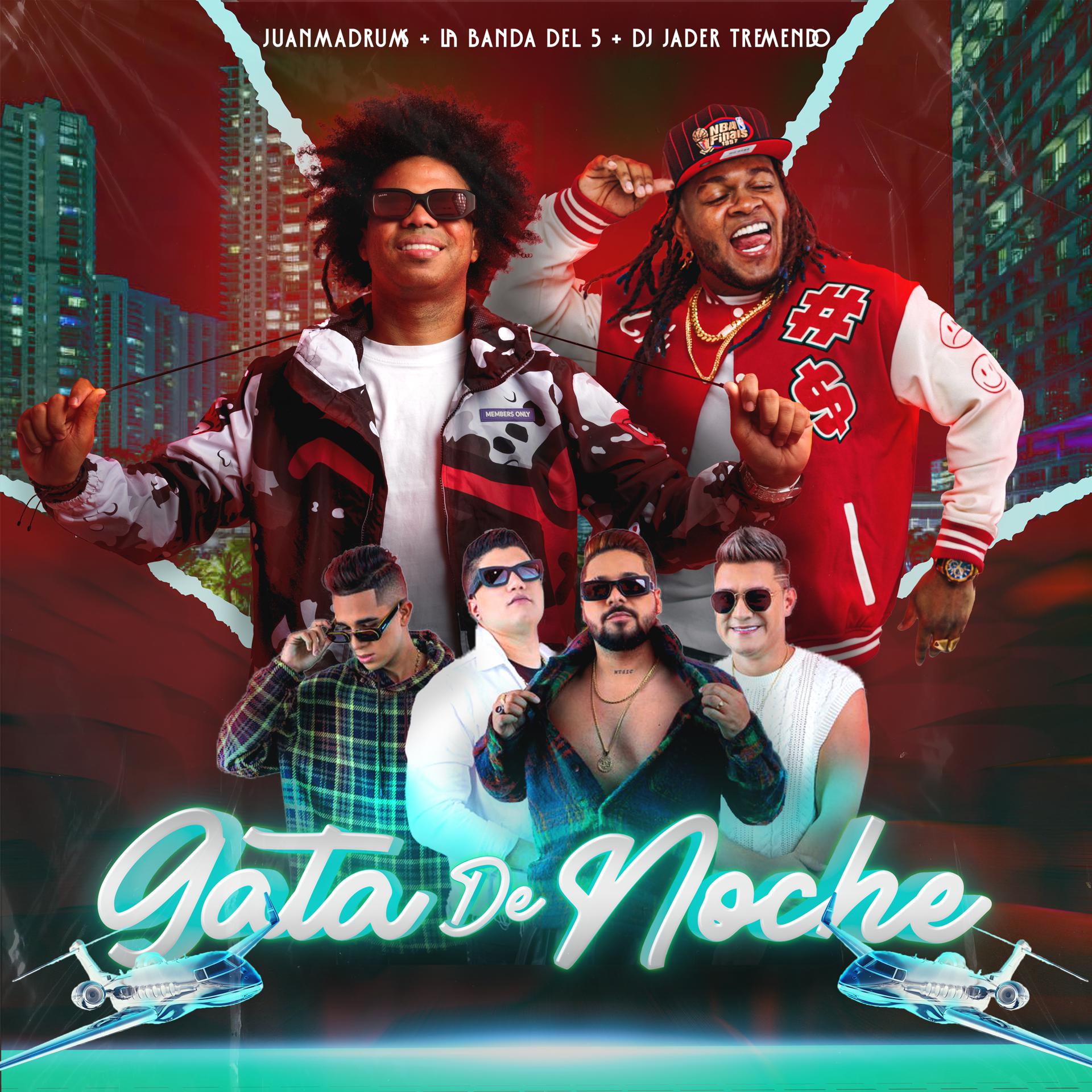 Постер альбома Gata de Noche