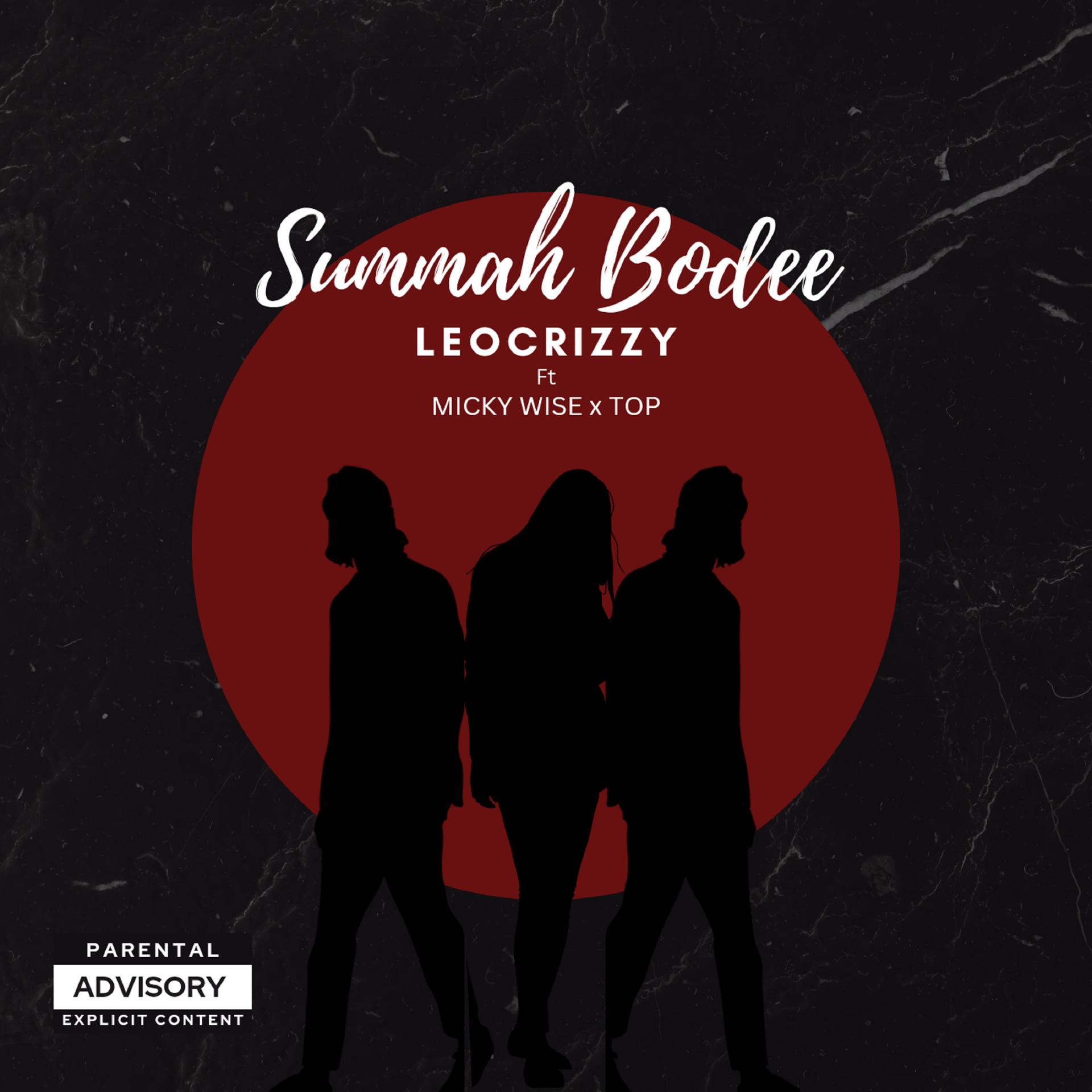 Постер альбома Summah Bodee