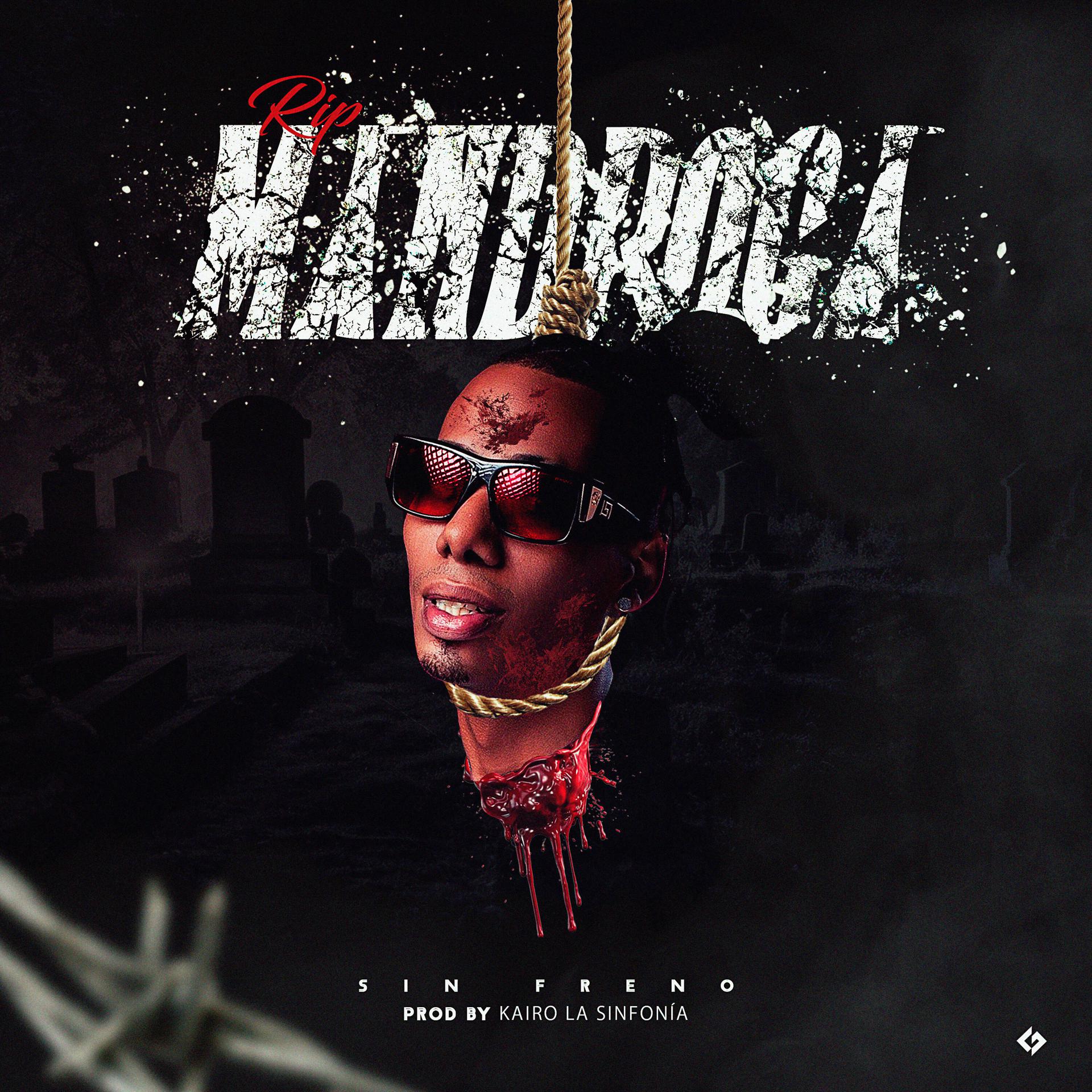 Постер альбома Rip Mandroga