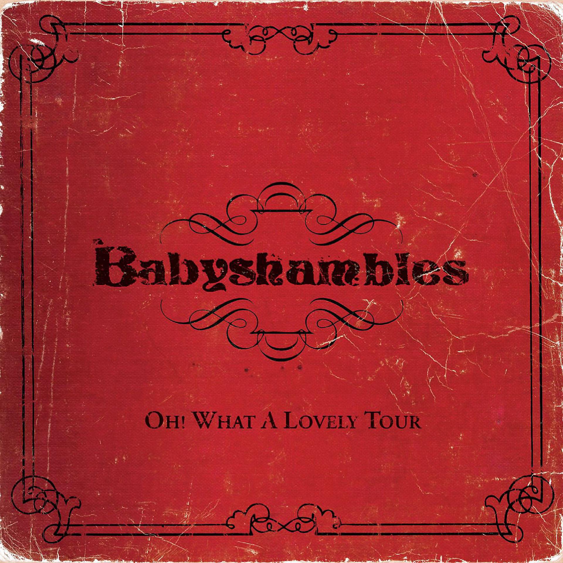 Постер альбома Oh What A Lovely Tour - Babyshambles Live