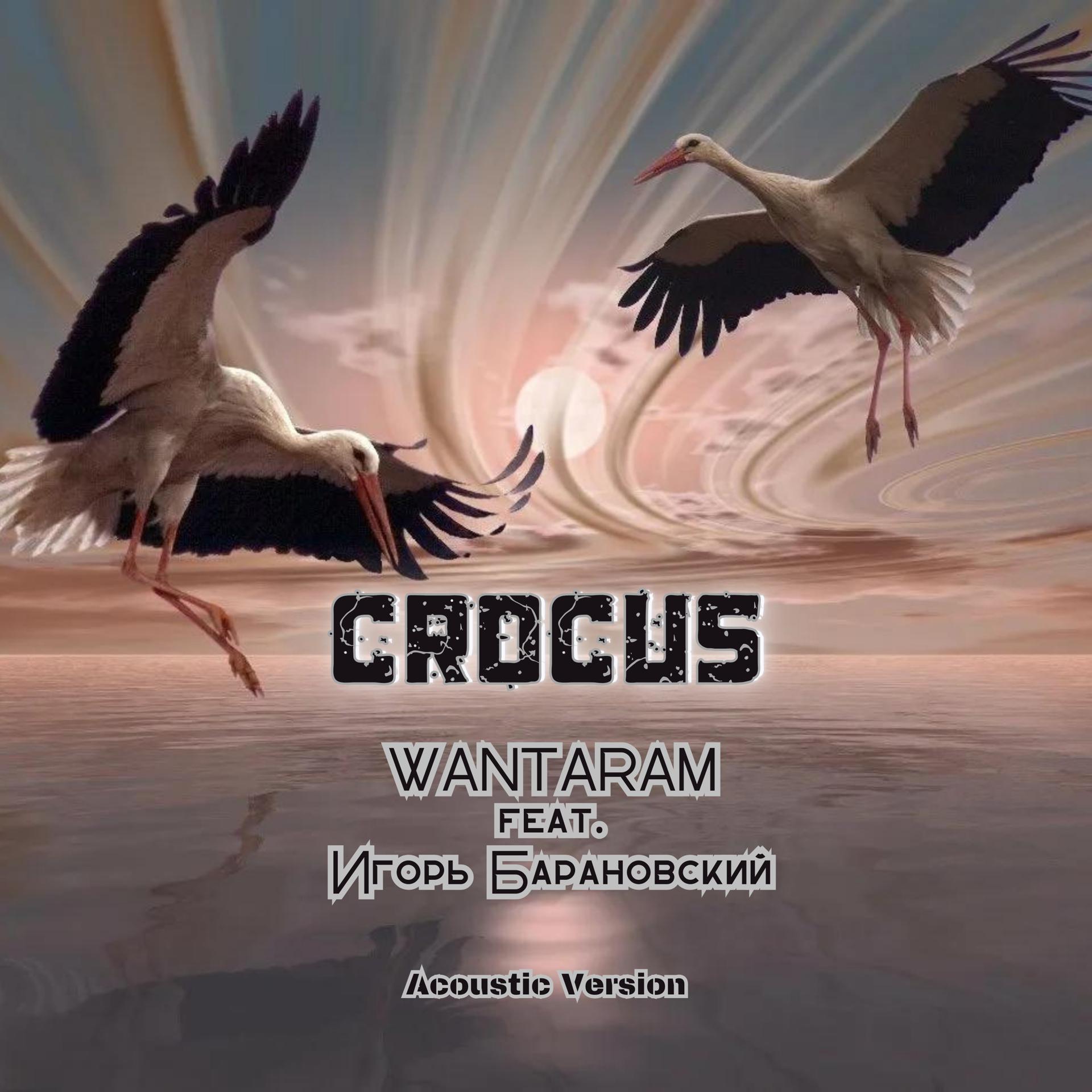 Постер альбома Crocus [Acoustic Version]