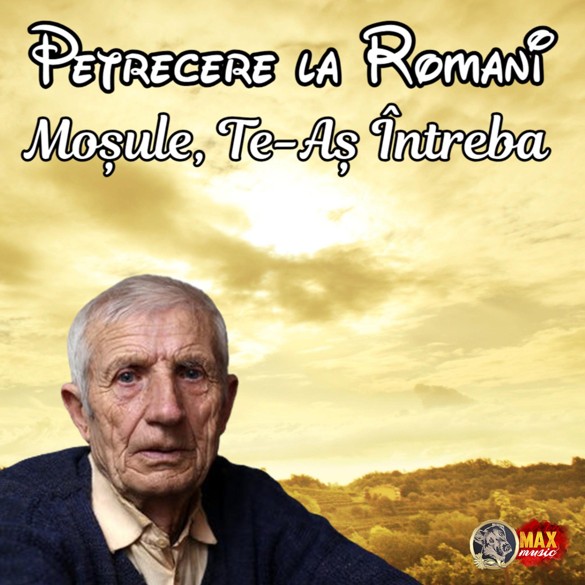 Постер альбома Moșule, Te-Aș Întreba