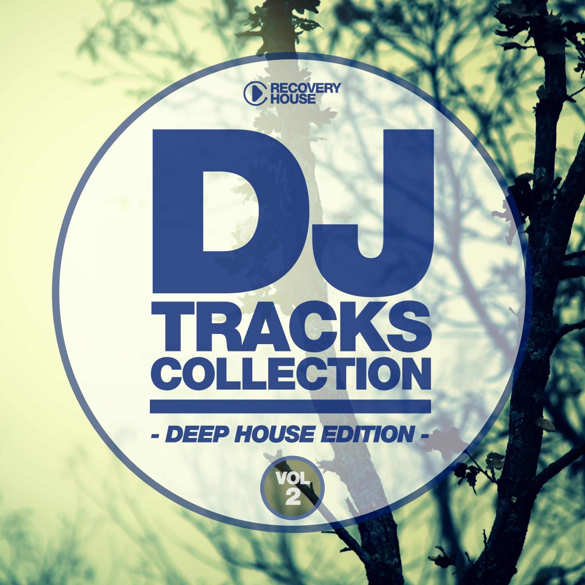Постер альбома DJ Tracks Collection - Deep House Edition, Vol. 2