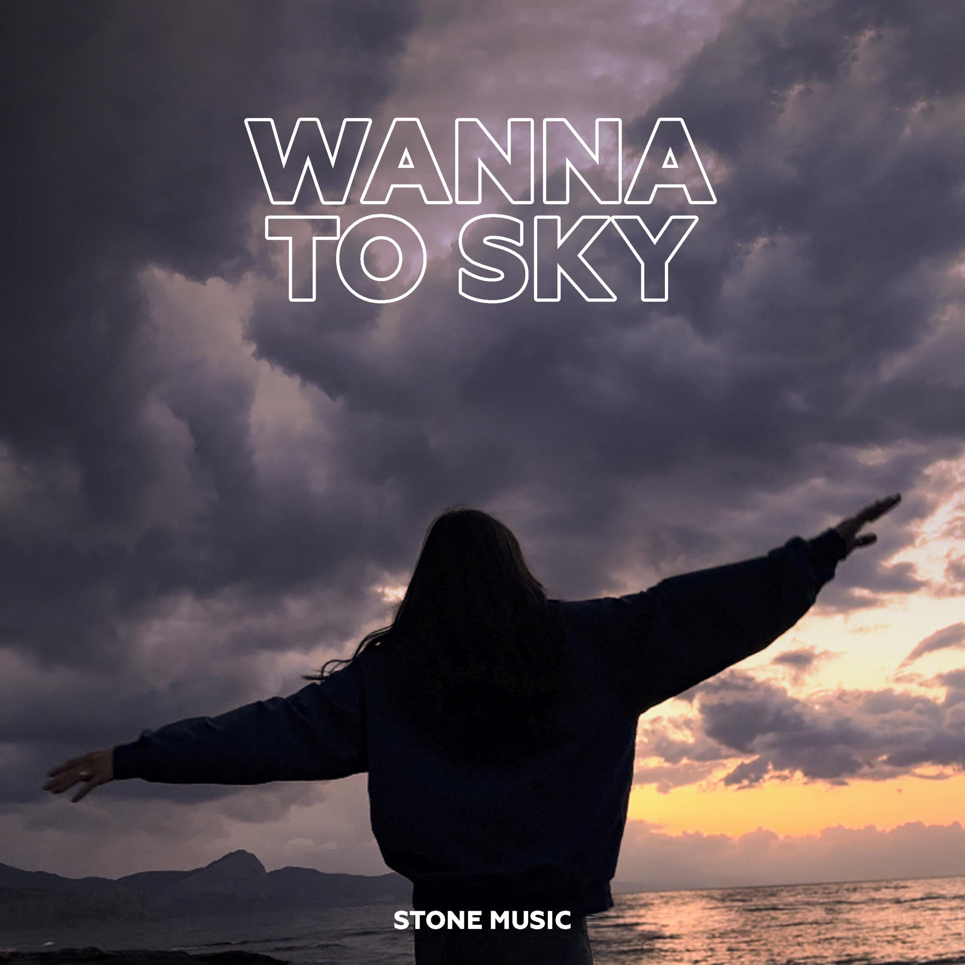 Постер альбома Wanna To Sky