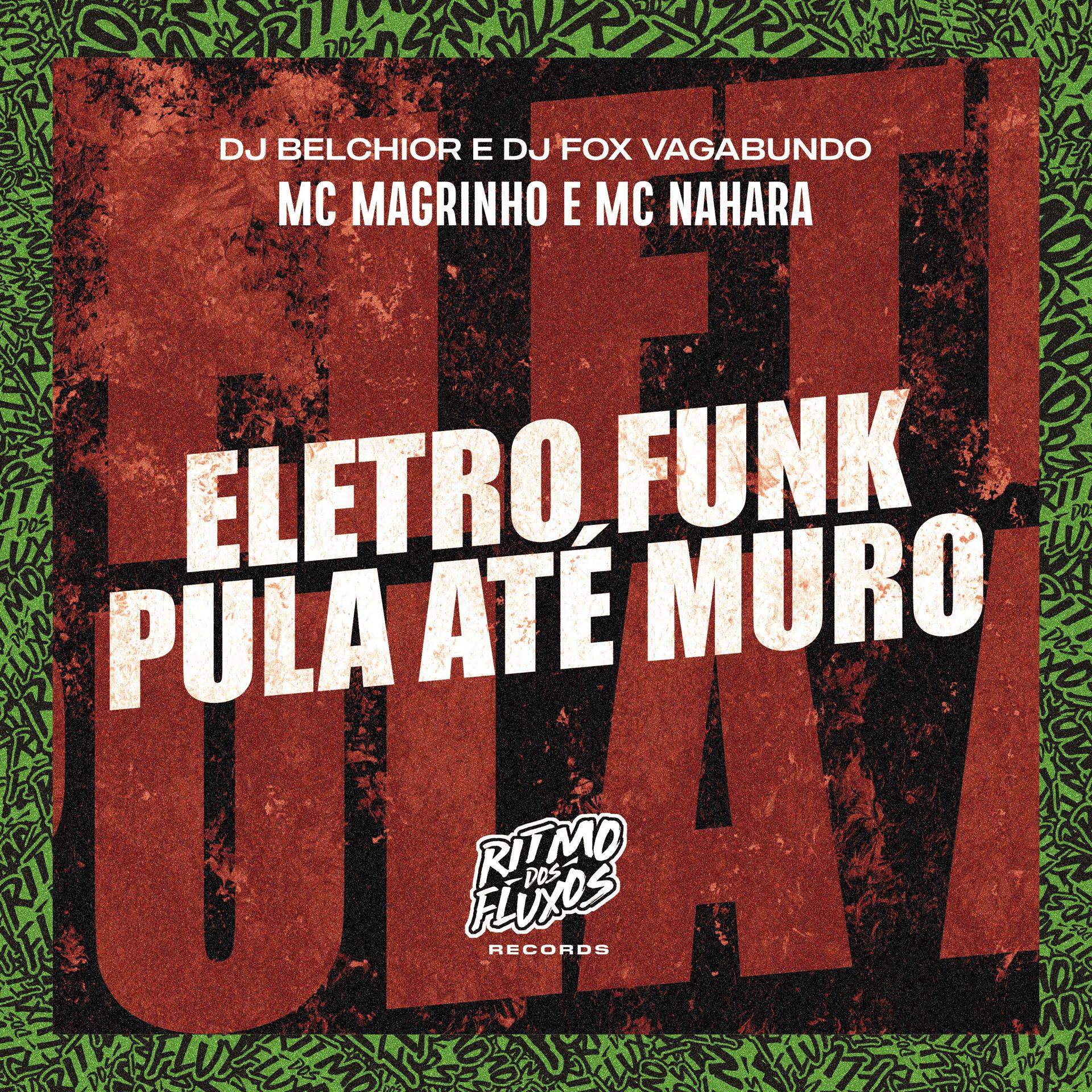 Постер альбома Eletro Funk Pula Até Muro