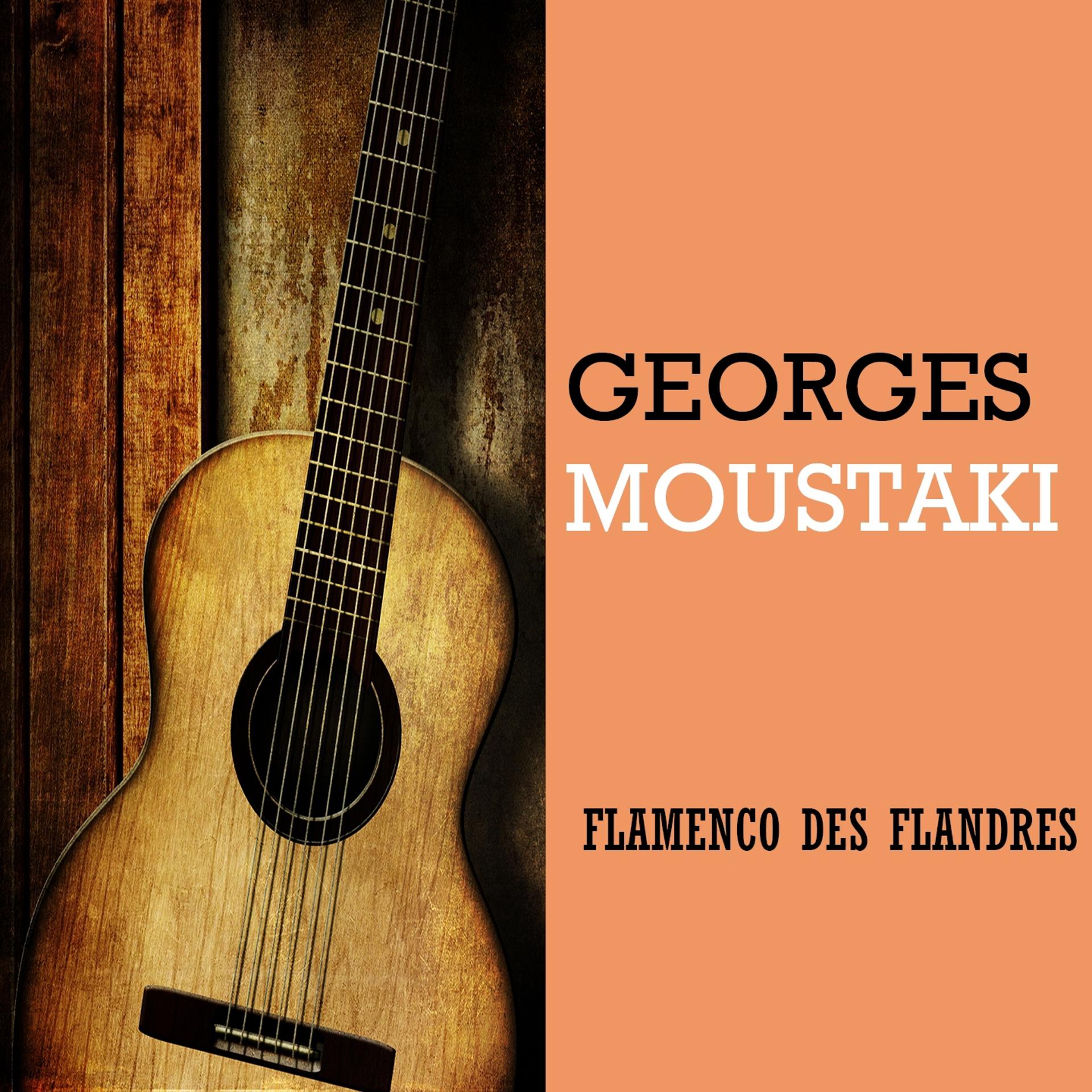 Постер альбома Flamenco Des Flandres