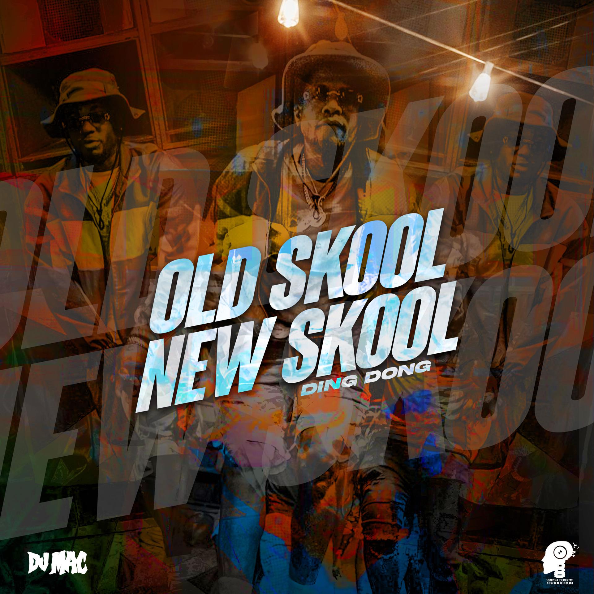 Постер альбома Old Skool New Skool