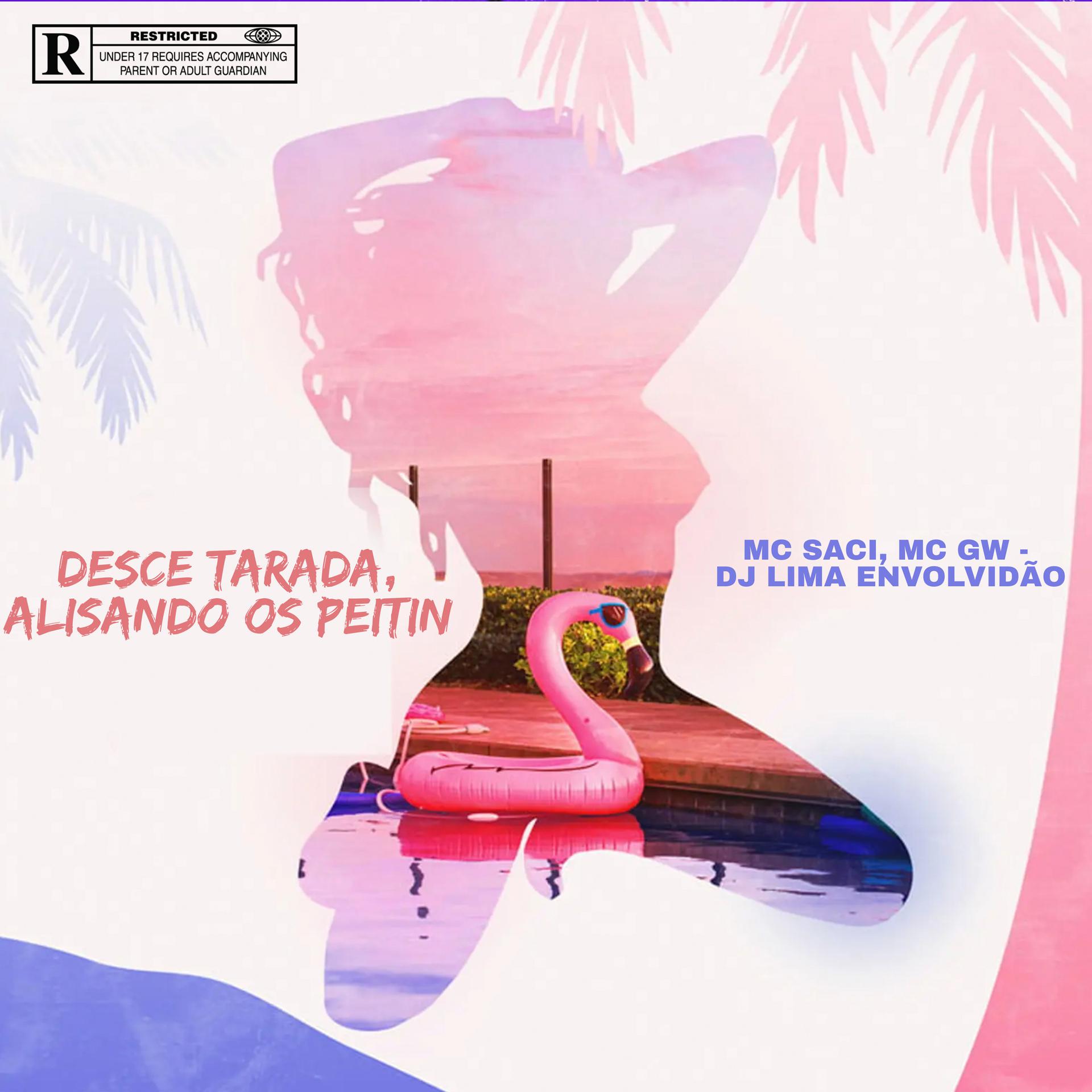 Постер альбома Desce Tarada, Alisando os Peitin