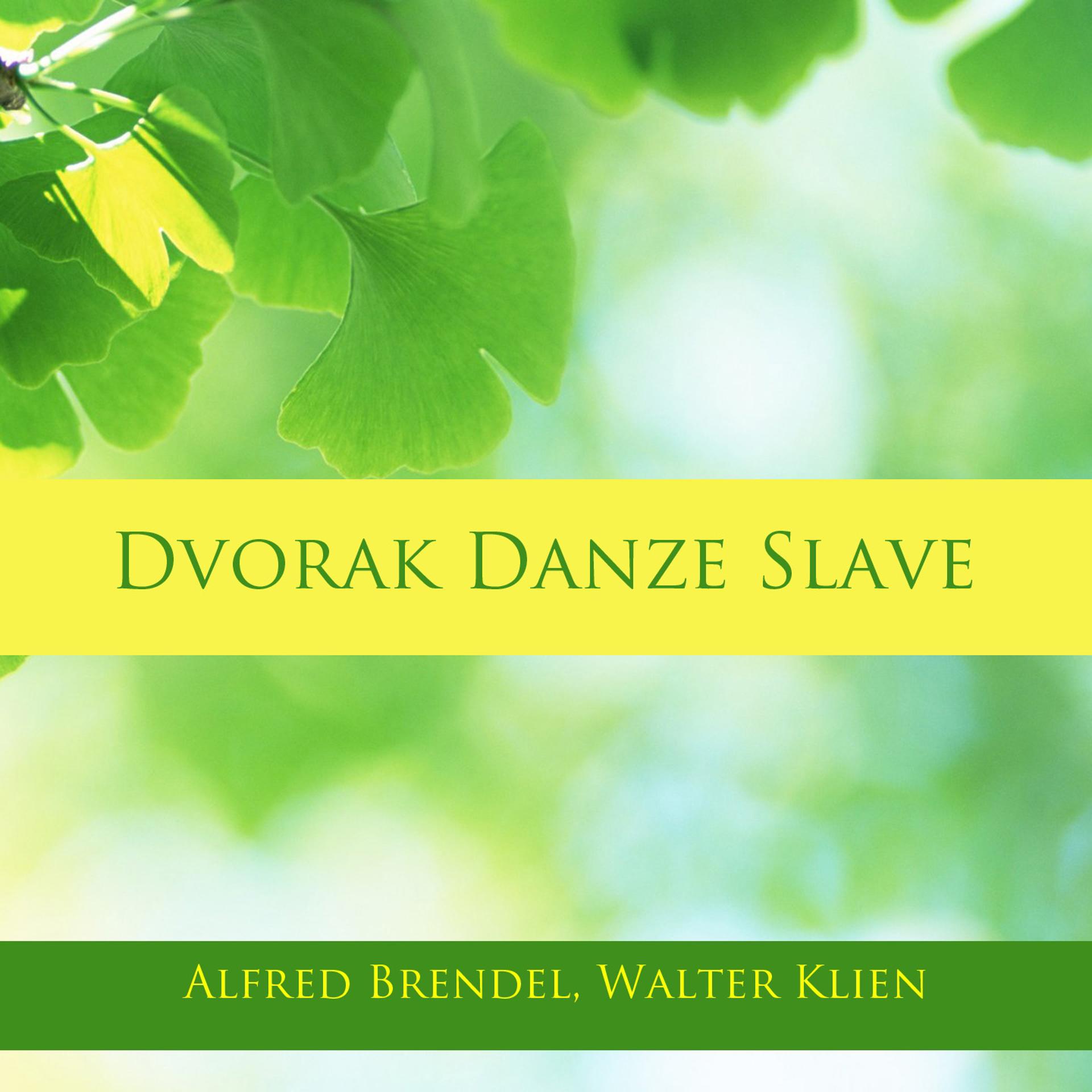 Постер альбома Dvořák: Danze slave