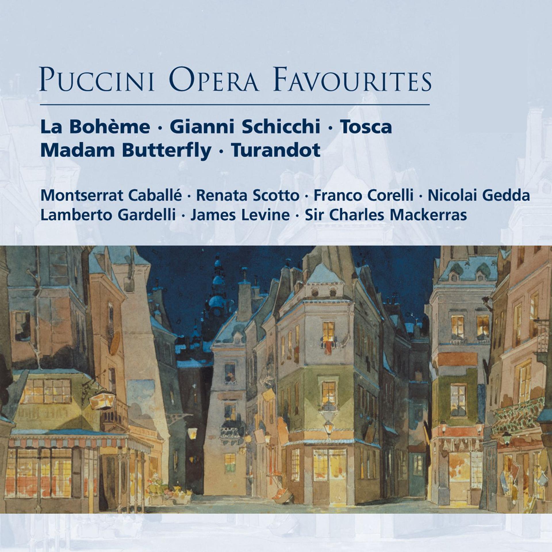 Постер альбома Puccini Opera Favourites