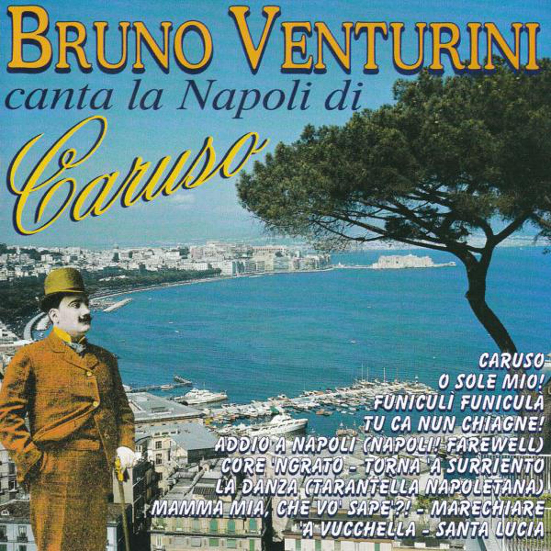 Постер альбома Bruno Venturini Canta La Napoli Di Caruso