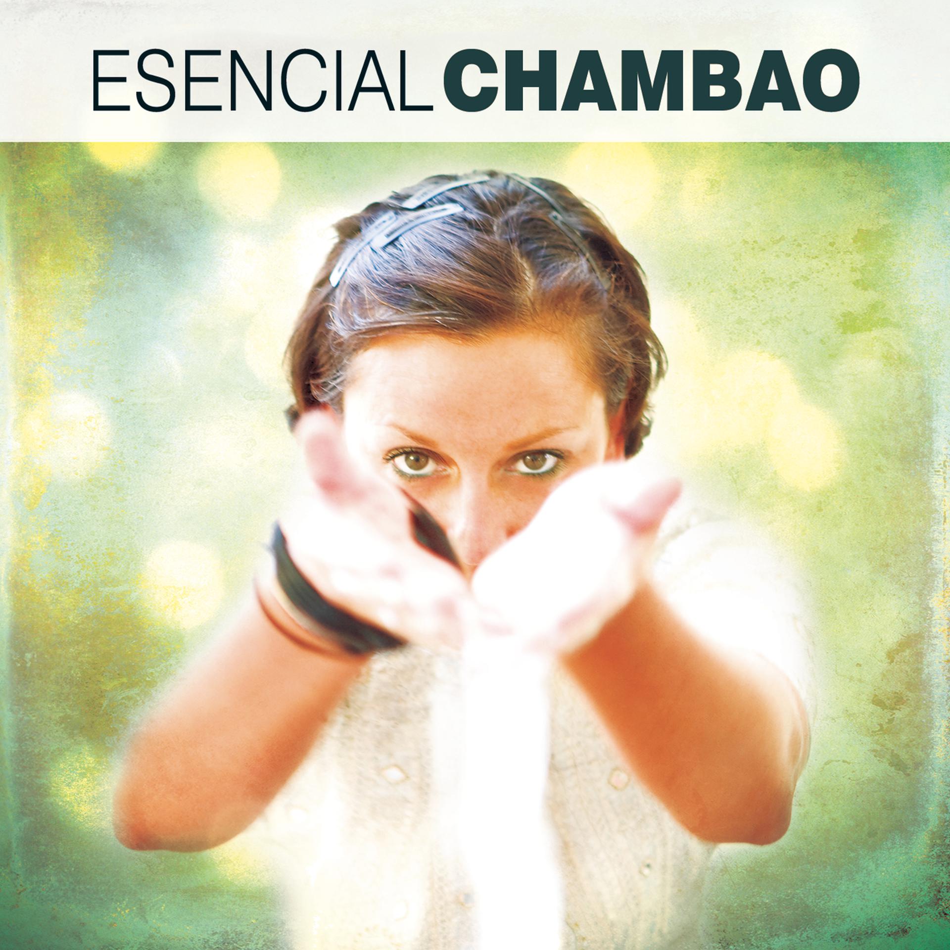 Постер альбома Esencial Chambao