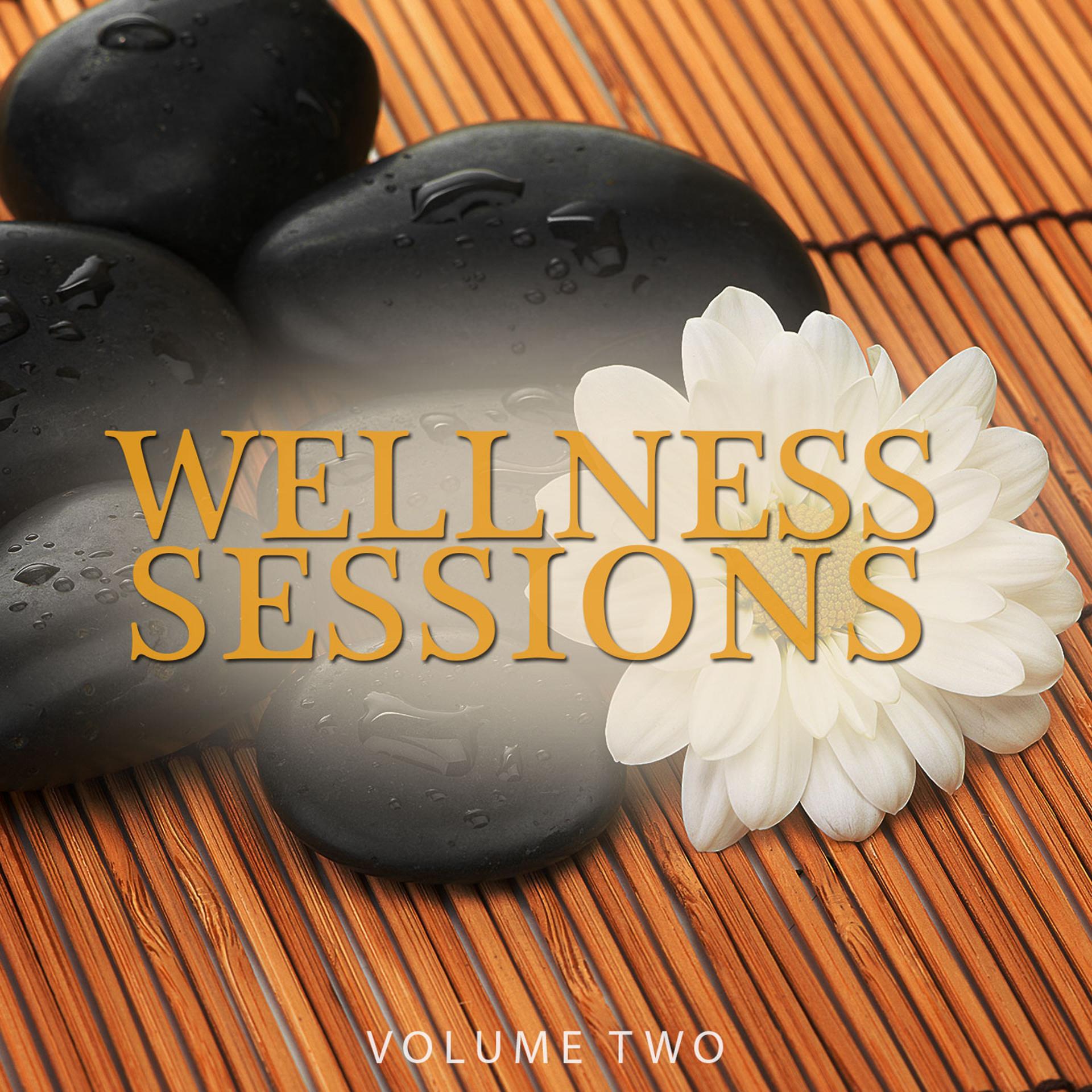 Постер альбома Wellness Sessions, Vol. 2