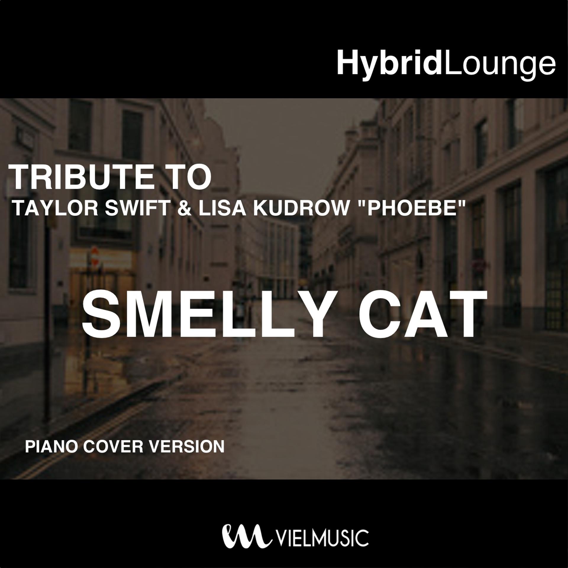 Постер альбома Smelly Cat (Originally Performed By Taylor Swift & Lisa Kudrow Phoebe) [Piano Version]