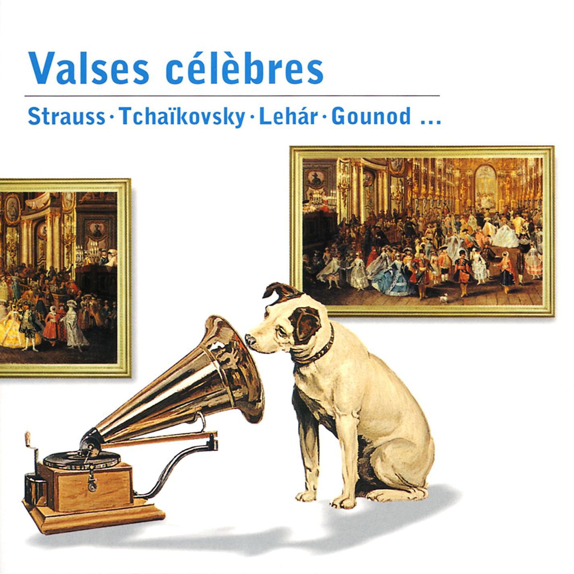 Постер альбома Popular Waltzes