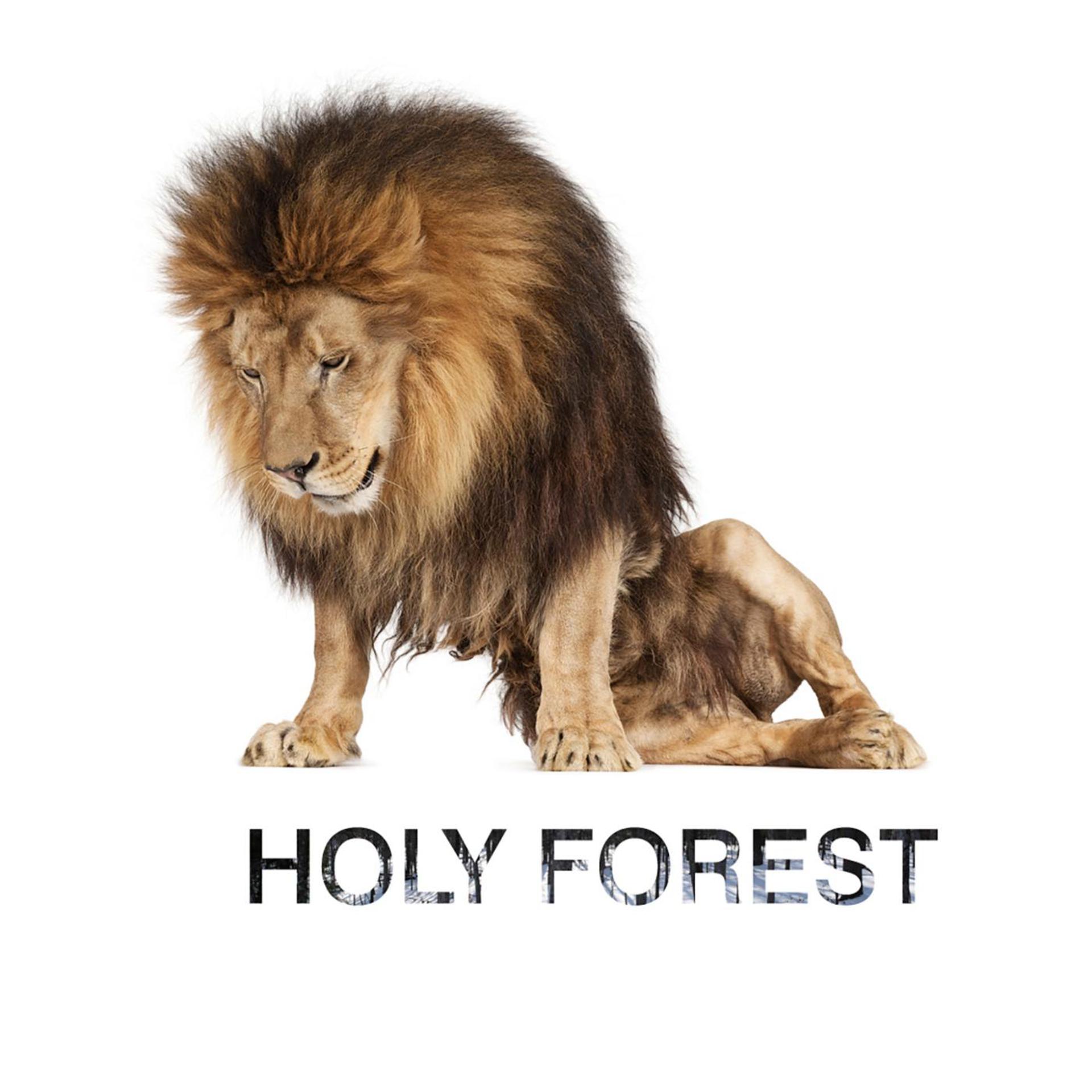 Постер альбома Holy Forest