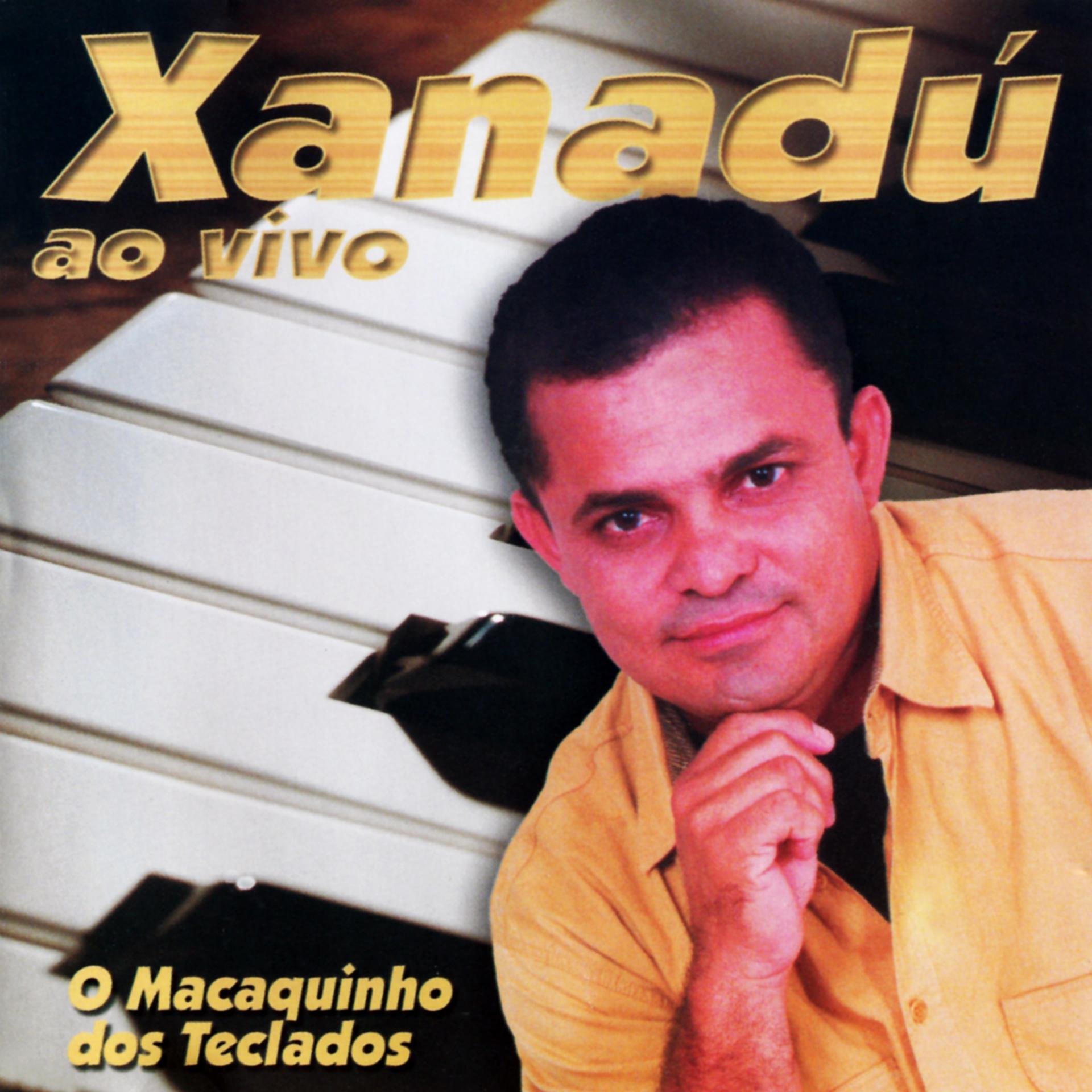 Постер альбома O Macaquinho dos Teclados