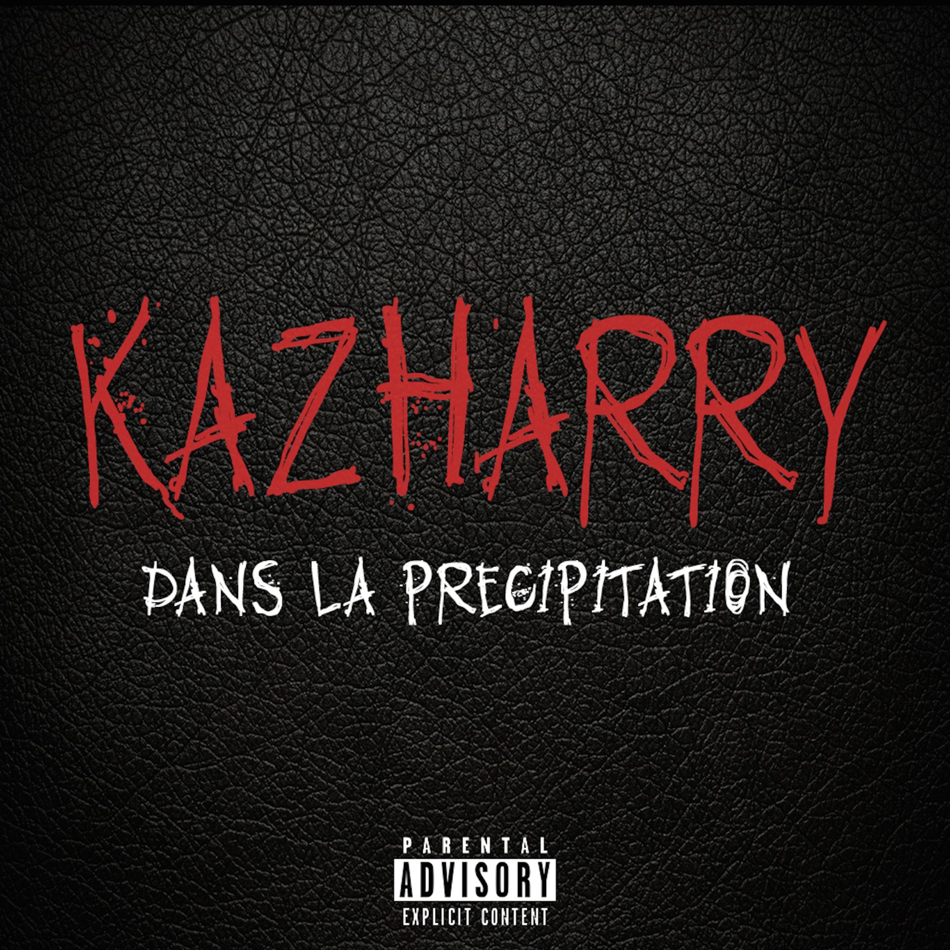 Постер альбома Dans la précipitation