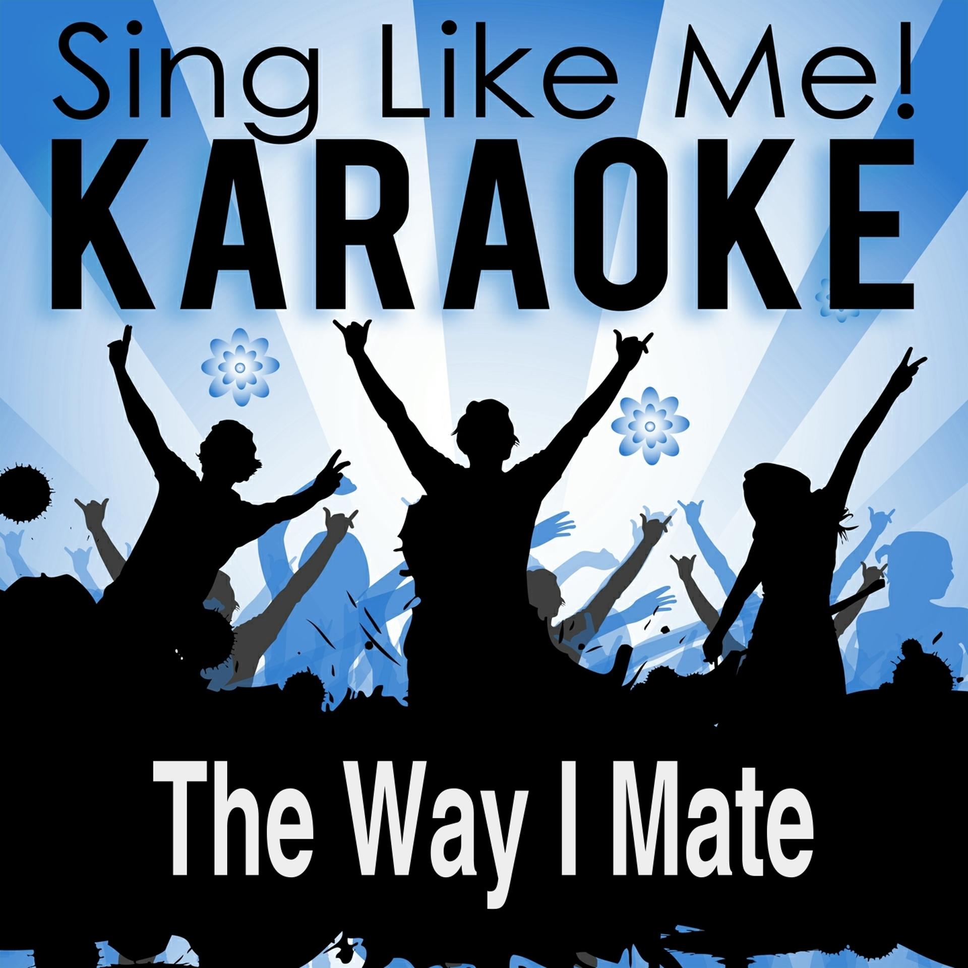 Постер альбома The Way I Mate (Karaoke Version) (Originally Performed By Rednex)