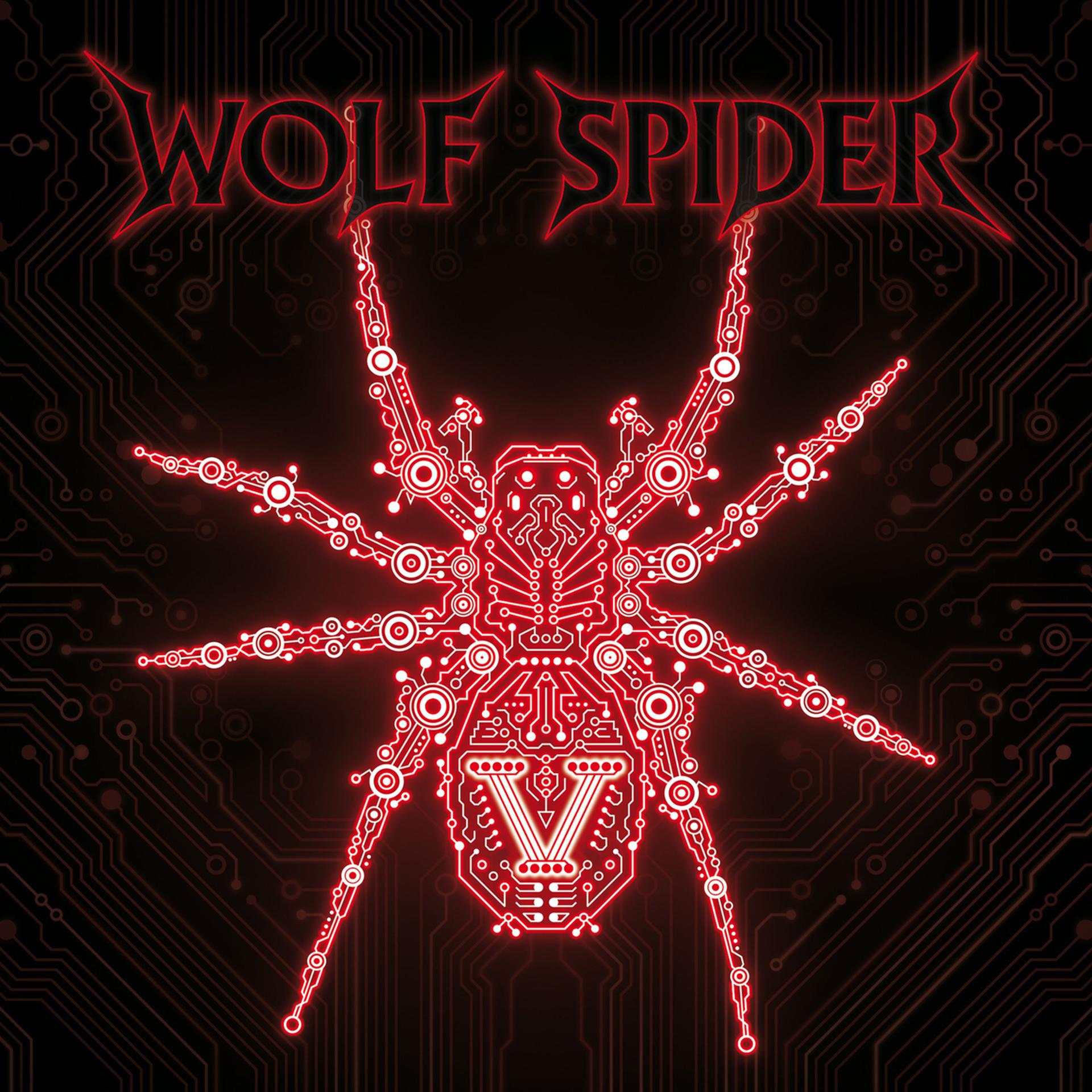 Spider songs. Вулф Спайдер. Wolf Spider 2015 - v. Spider Wolf группа. Музыкальные паучки.