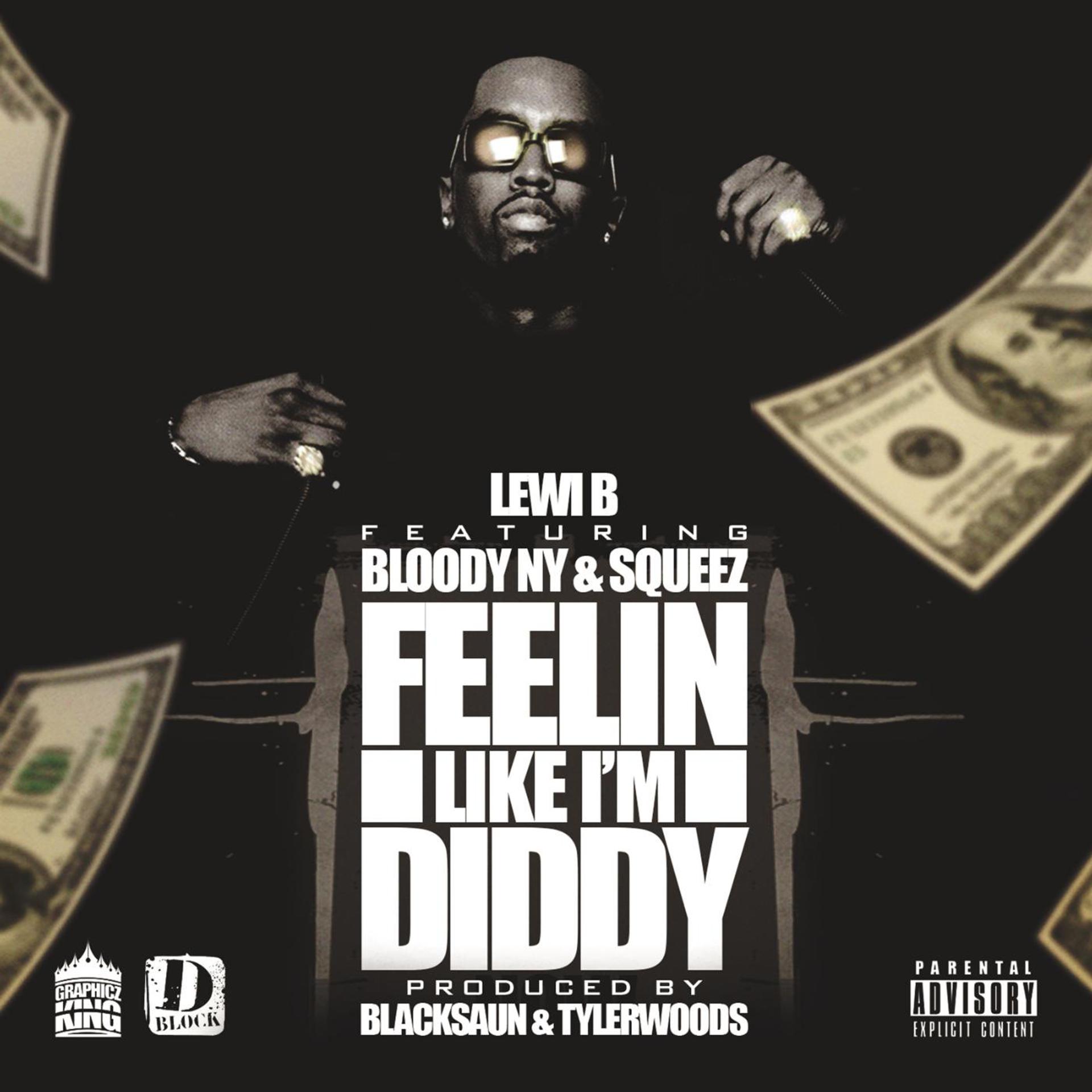 Постер альбома Feelin Like I'm Diddy (feat. Squeez & Bloody NY)