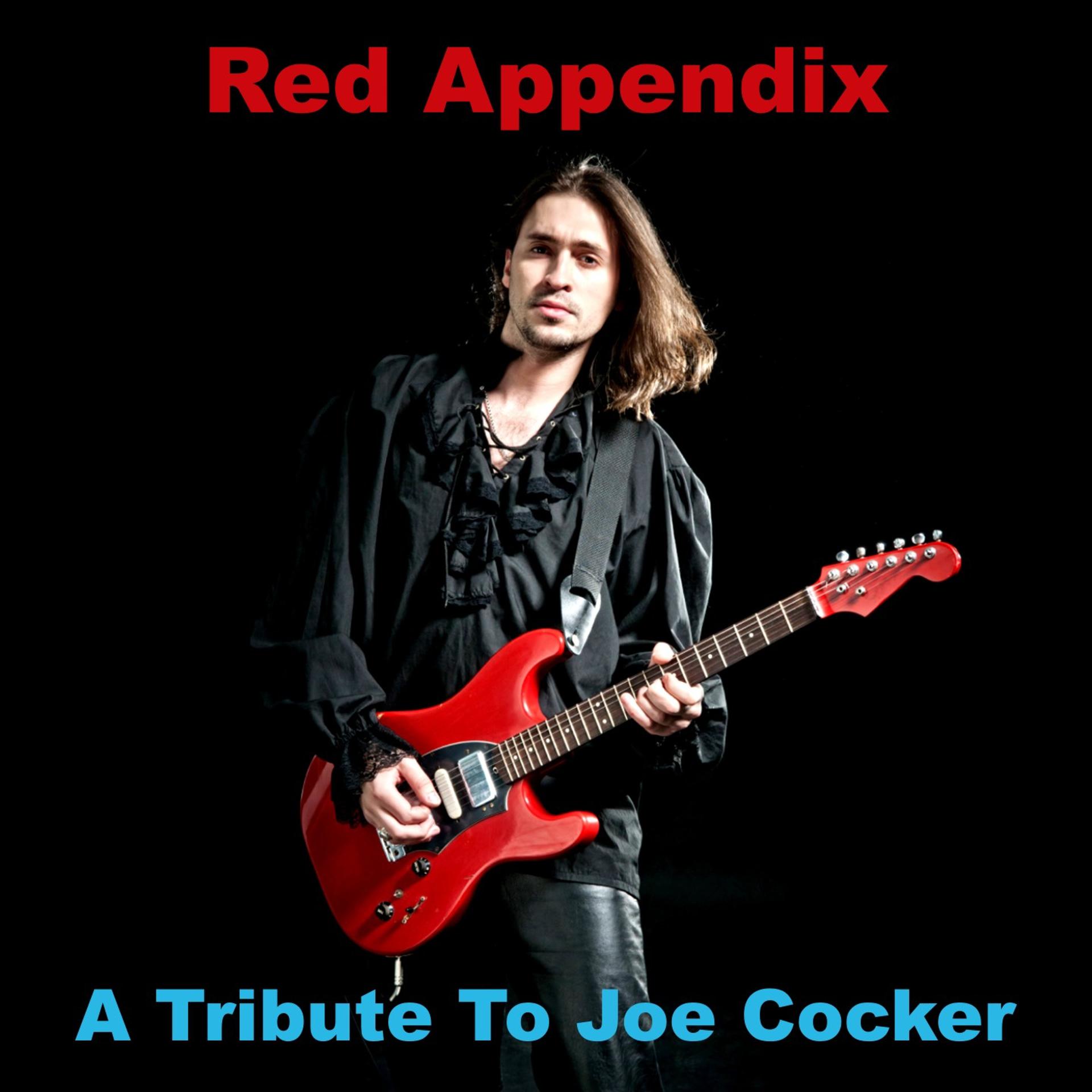Постер альбома A Tribute To Joe Cocker