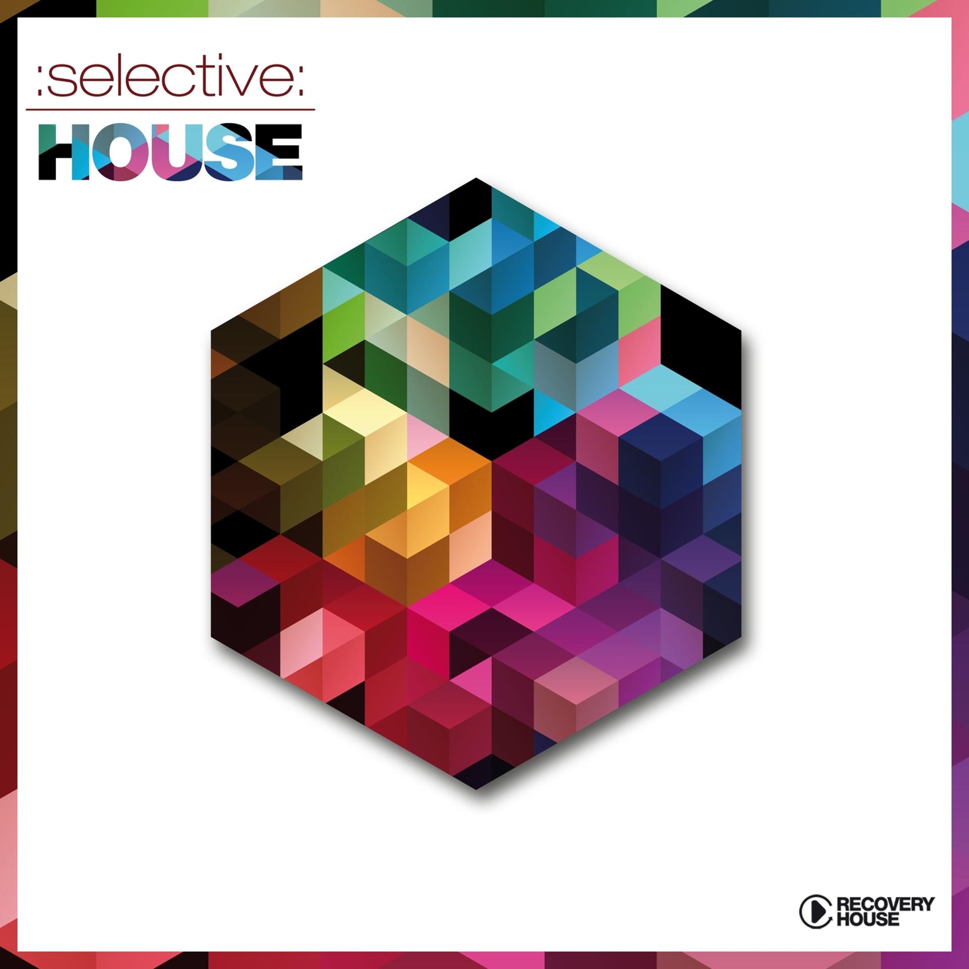Постер альбома Selective: House