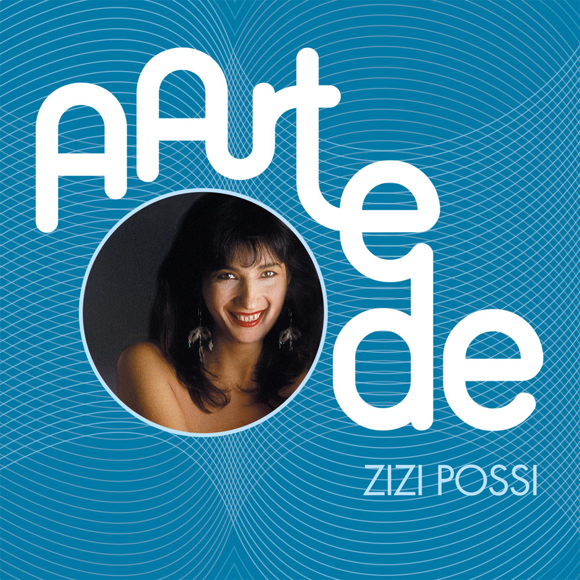 Постер альбома A Arte De Zizi Possi