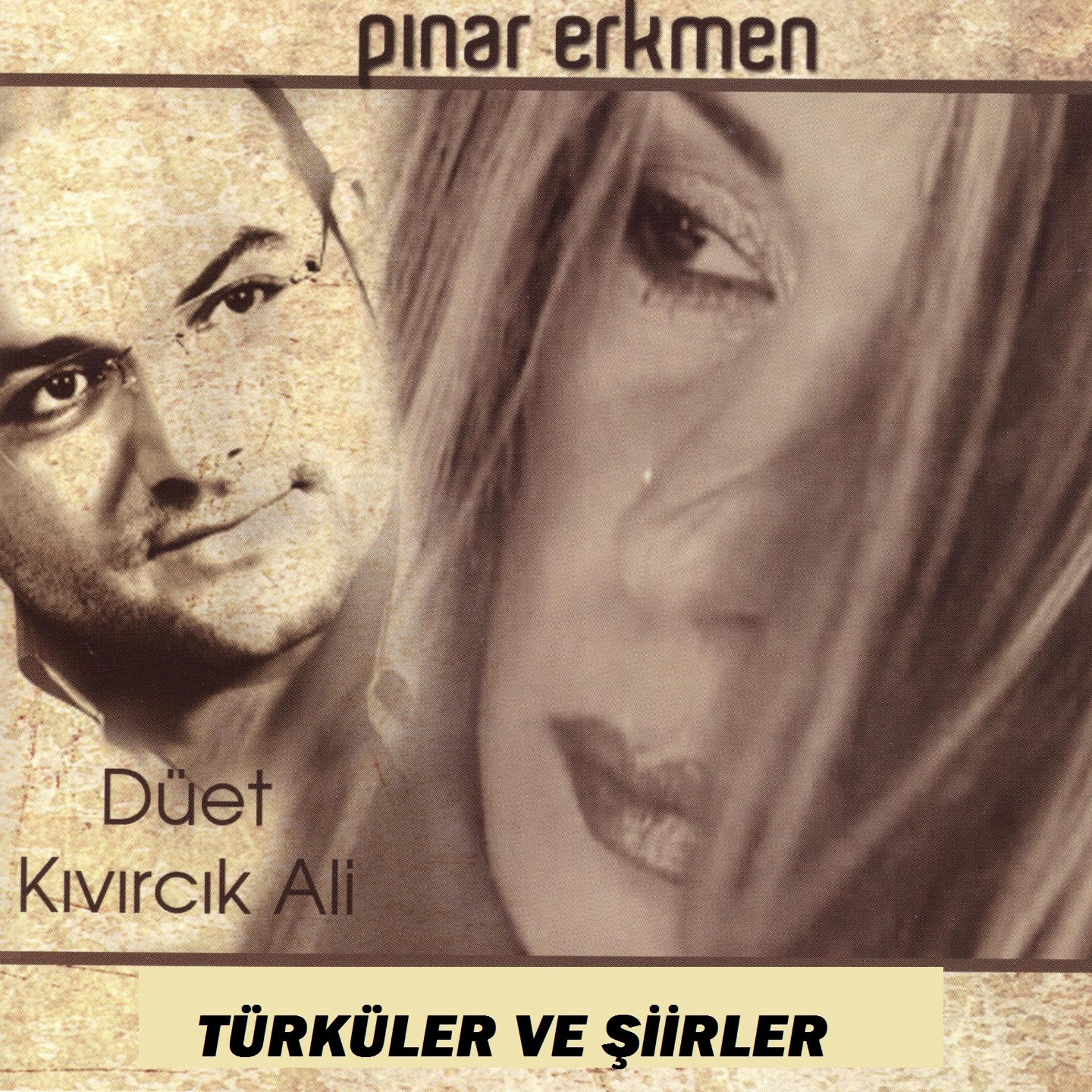 Постер альбома Türküler Ve Şiir