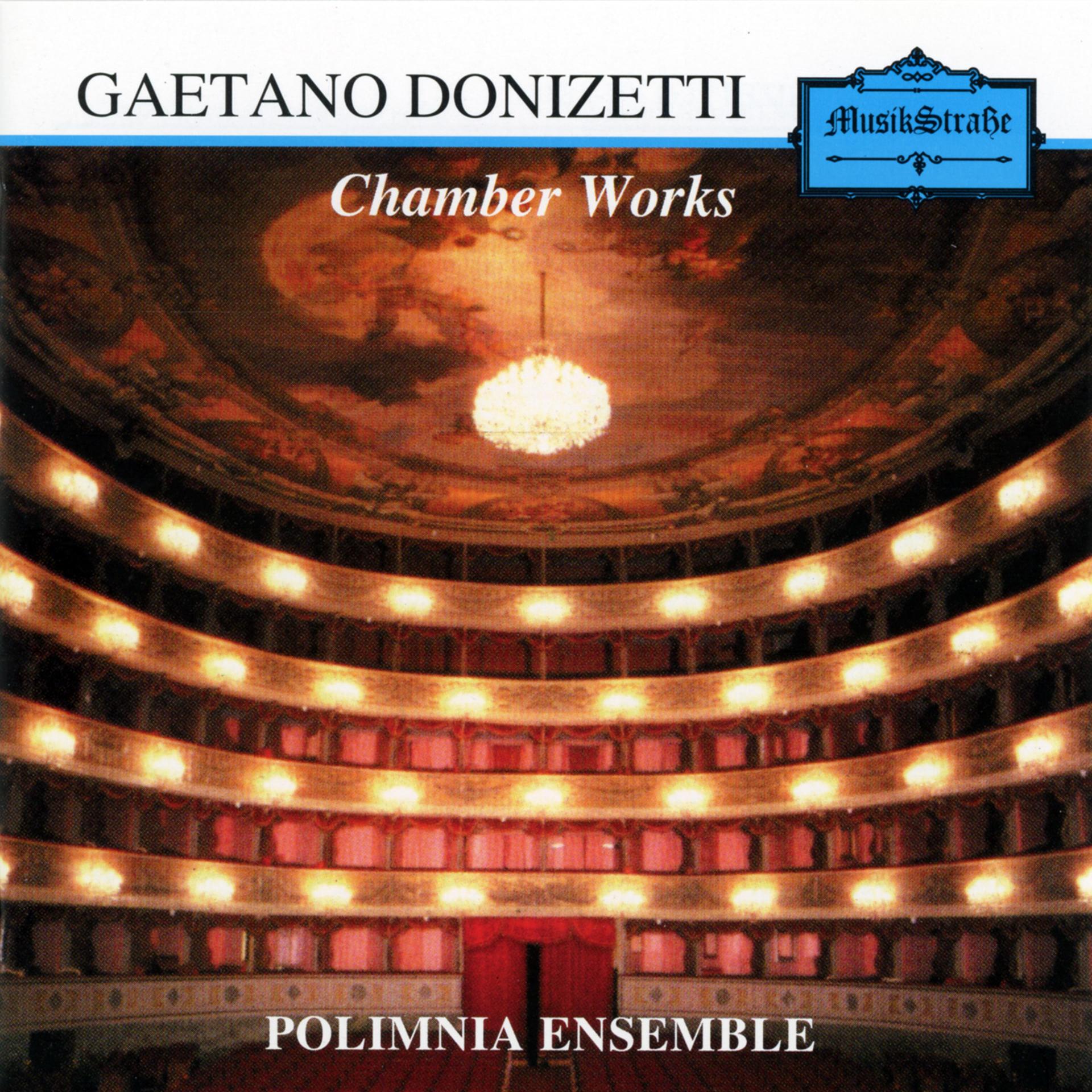 Постер альбома Gaetano Donizetti: Chamber Works