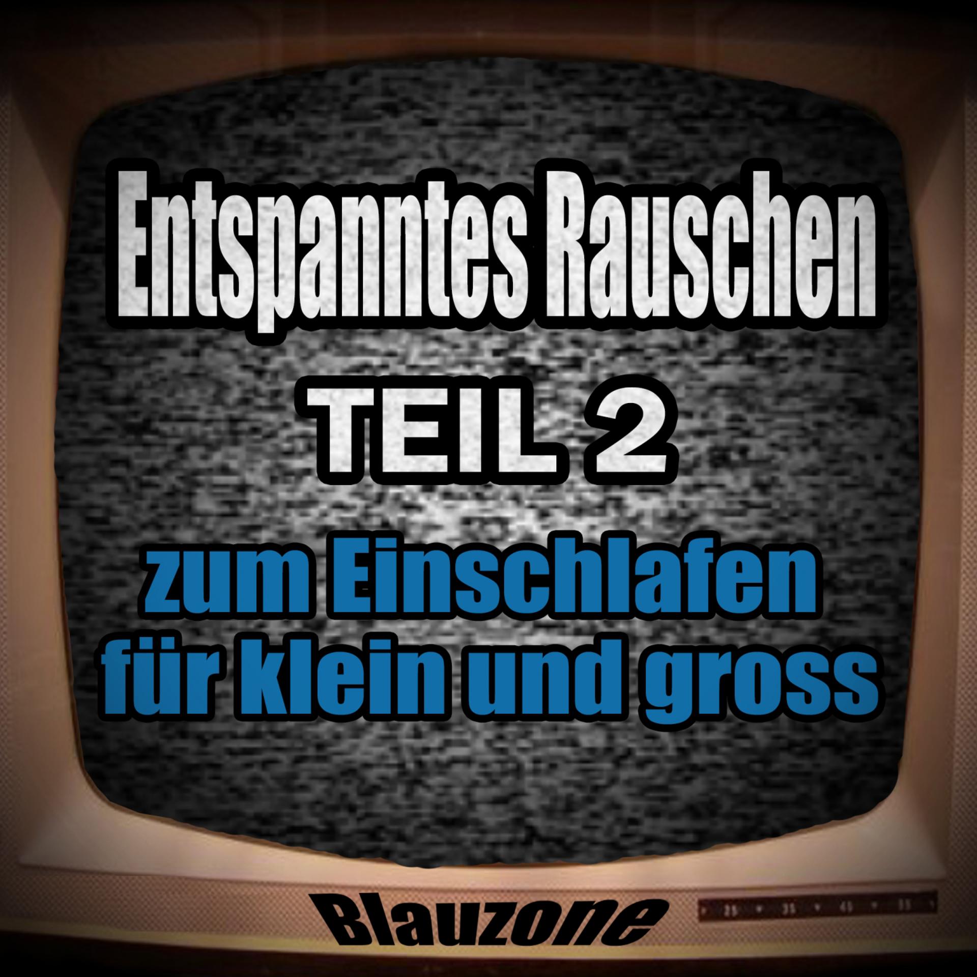 Постер альбома Entspanntes Rauschen Teil 2 - zum Einschlafen für klein und gross (Original Einschlaf Mix)