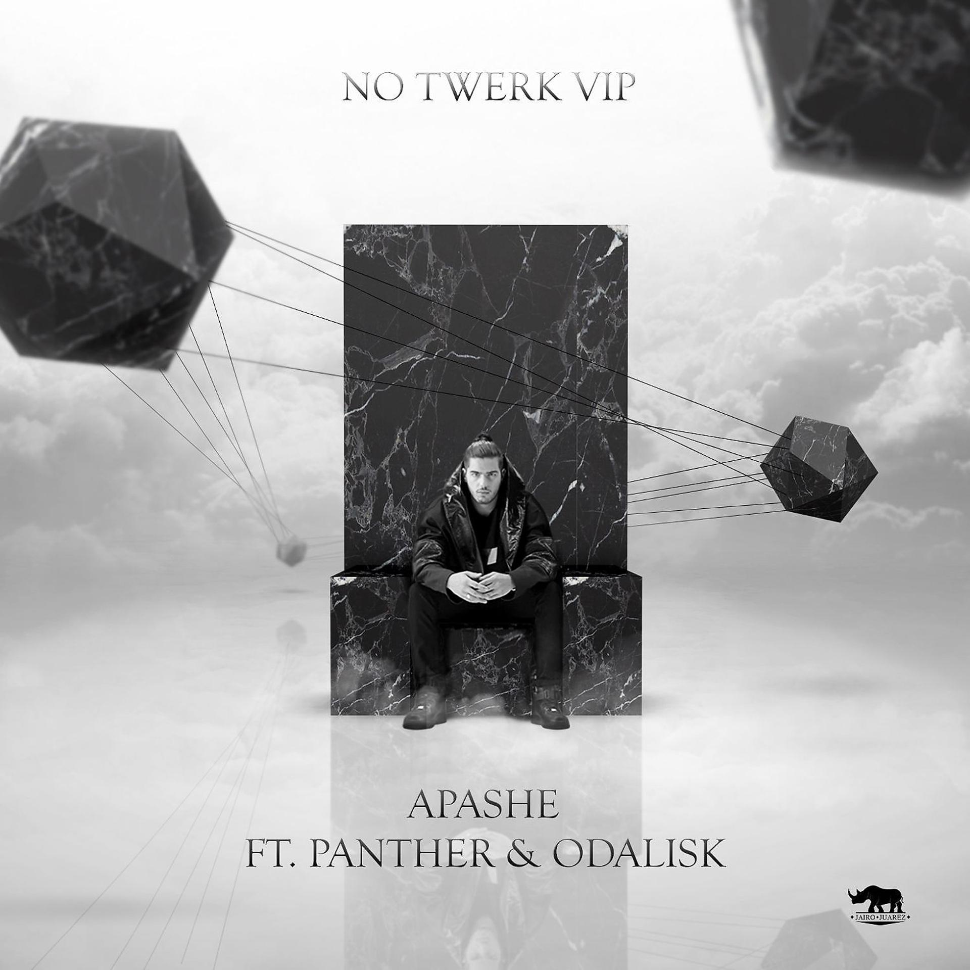 Постер альбома No Twerk VIP (feat. Panther & Odalisk)