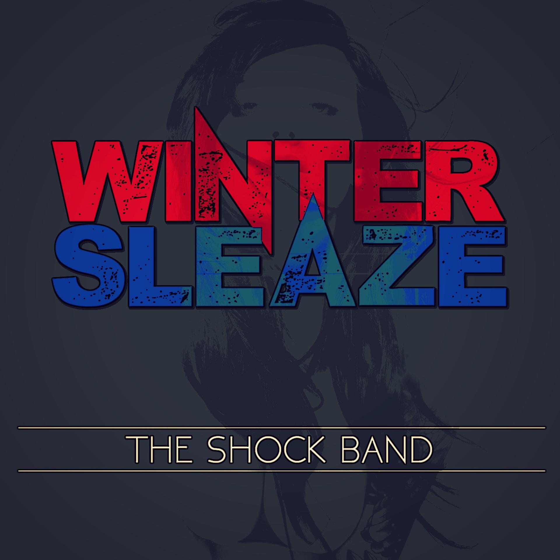 Постер альбома Winter Sleaze