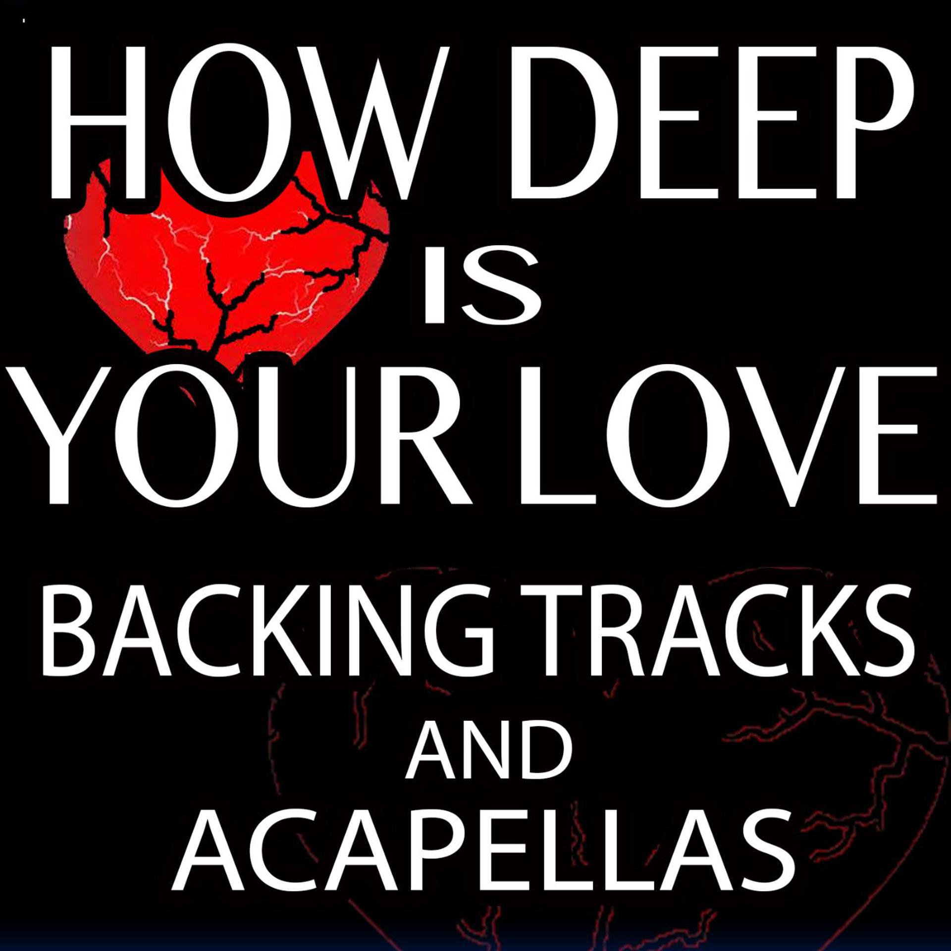 Постер альбома How Deep Is Your Love (Backing Tracks and Acapellas)