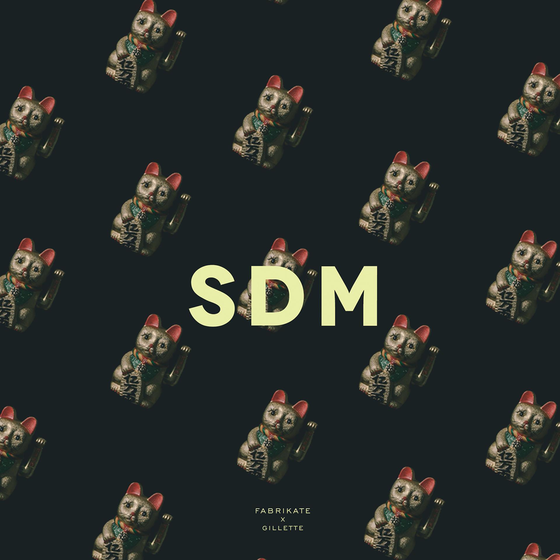Постер альбома SDM