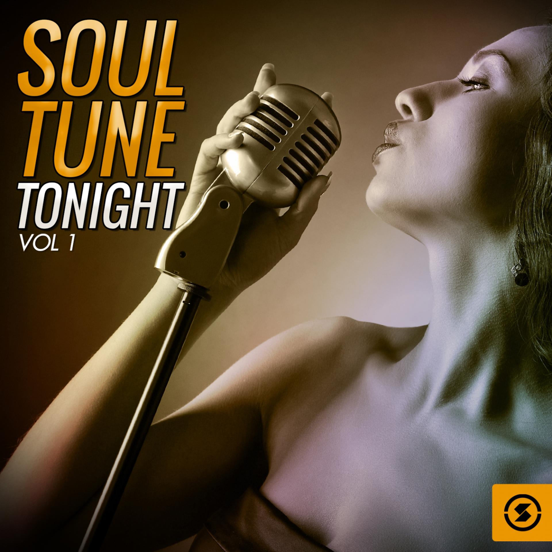 Постер альбома Soul Tune Tonight, Vol. 1
