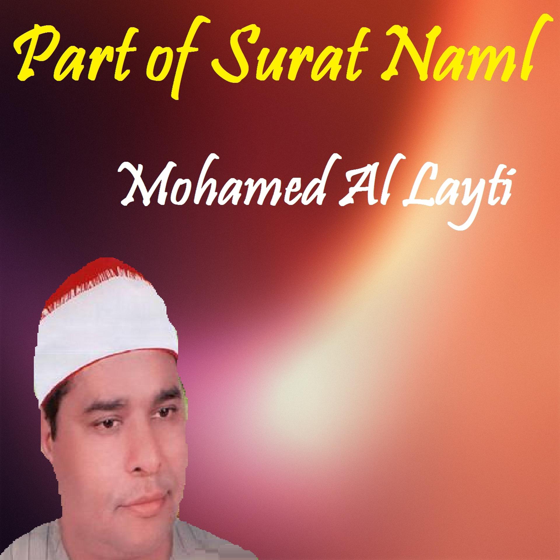 Постер альбома Part of Surat Naml