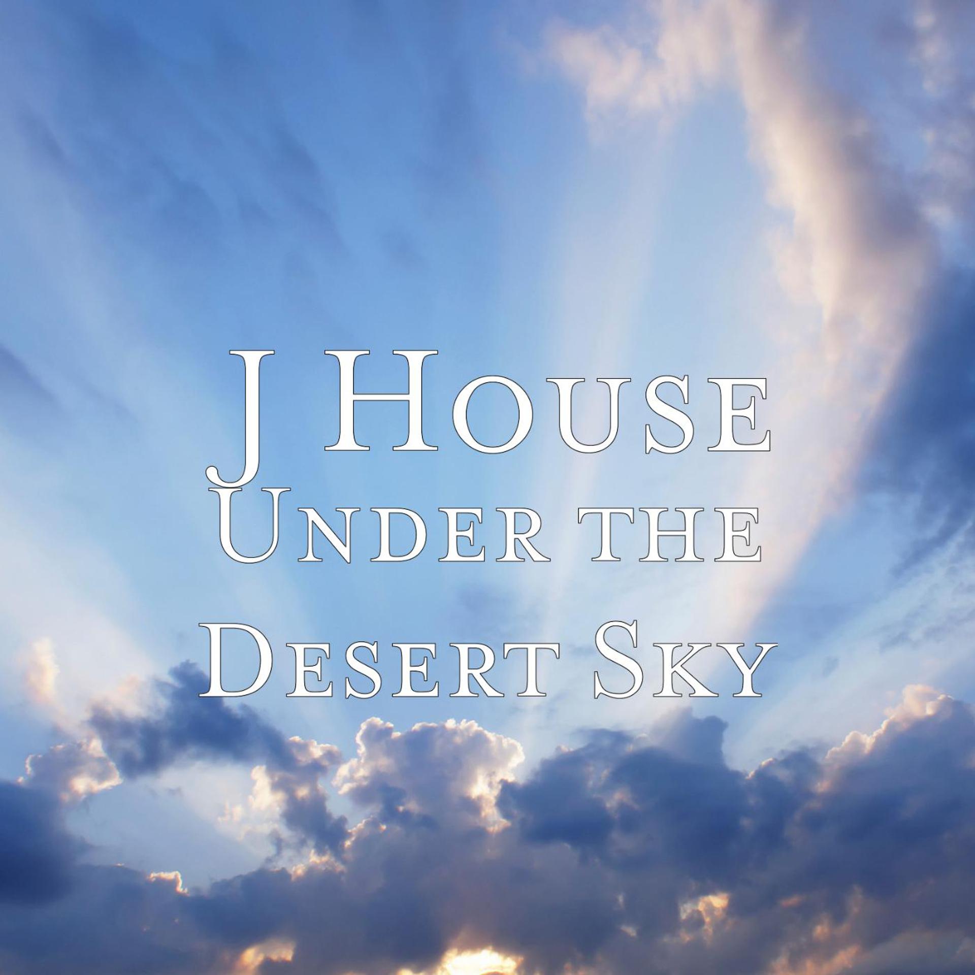 Постер альбома Under the Desert Sky