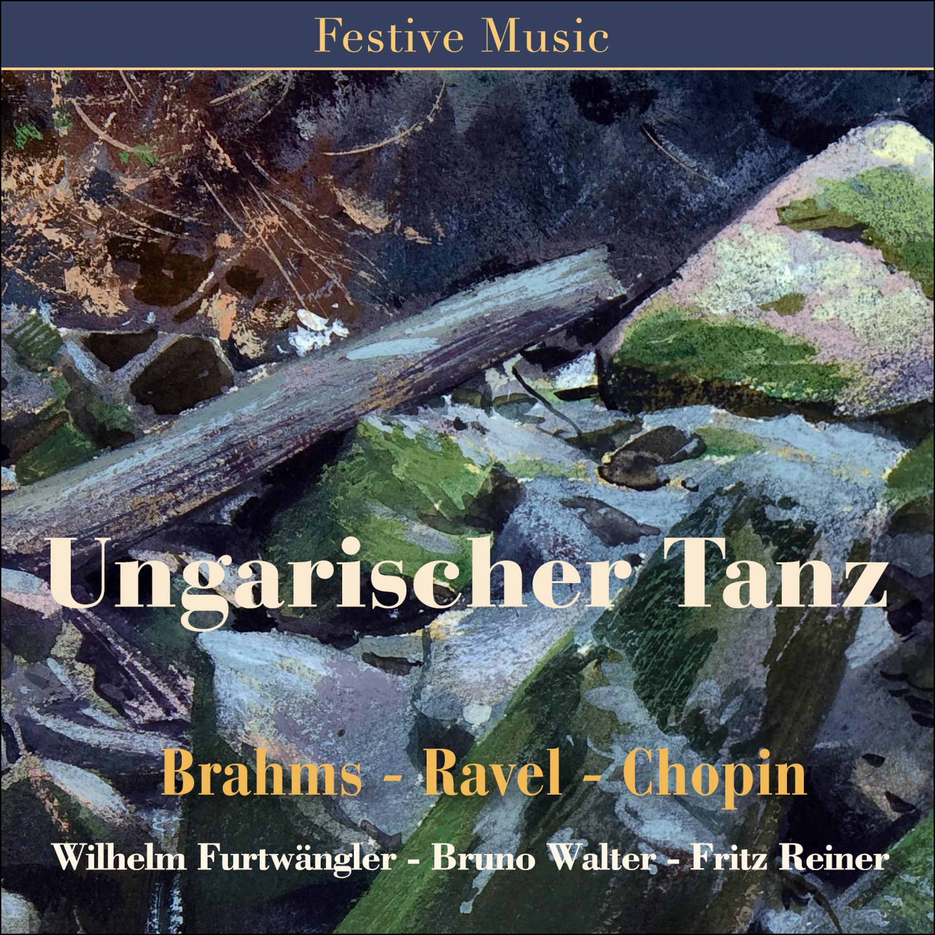 Постер альбома Ungarischer Tanz