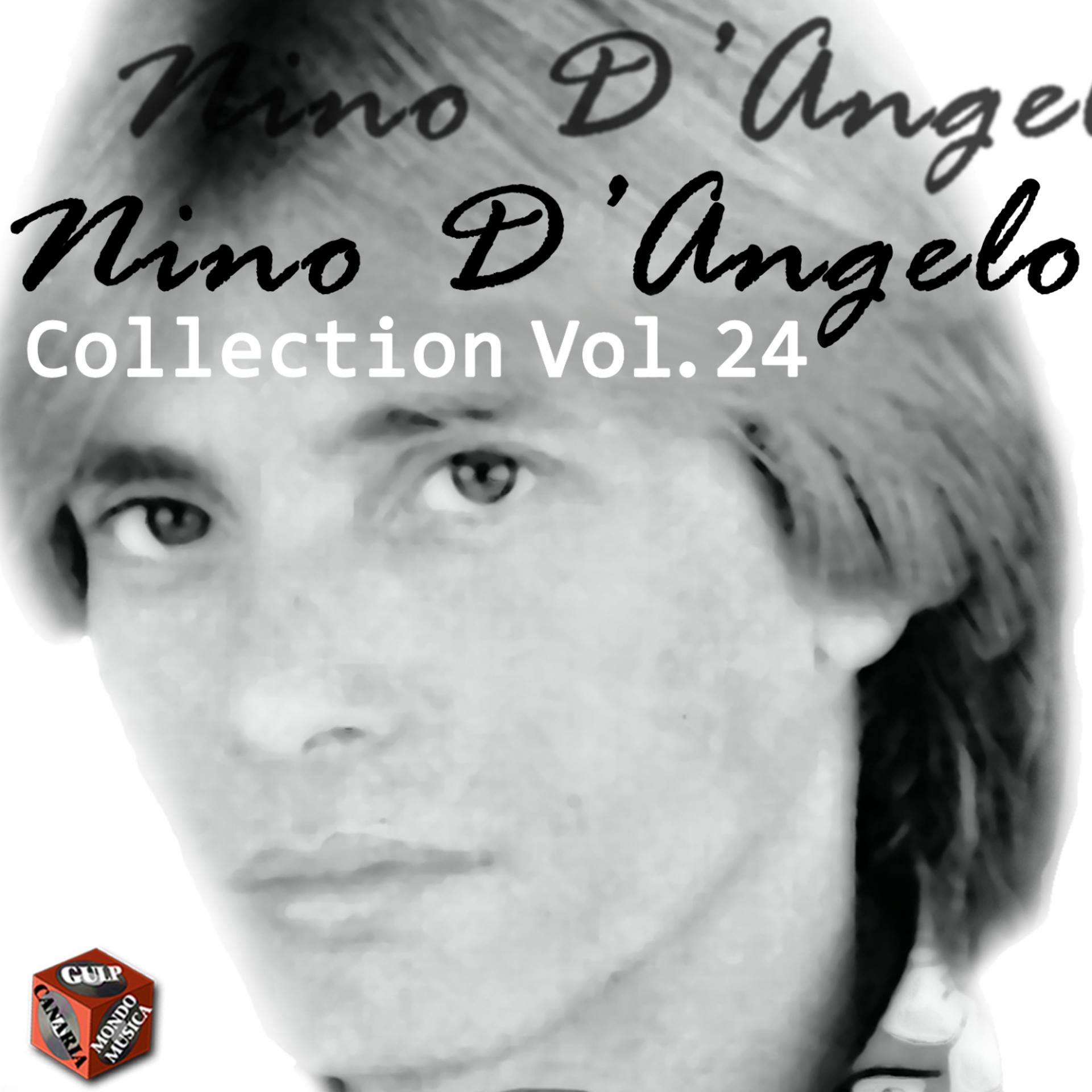 Постер альбома Nino D'Angelo Collection, Vol. 24